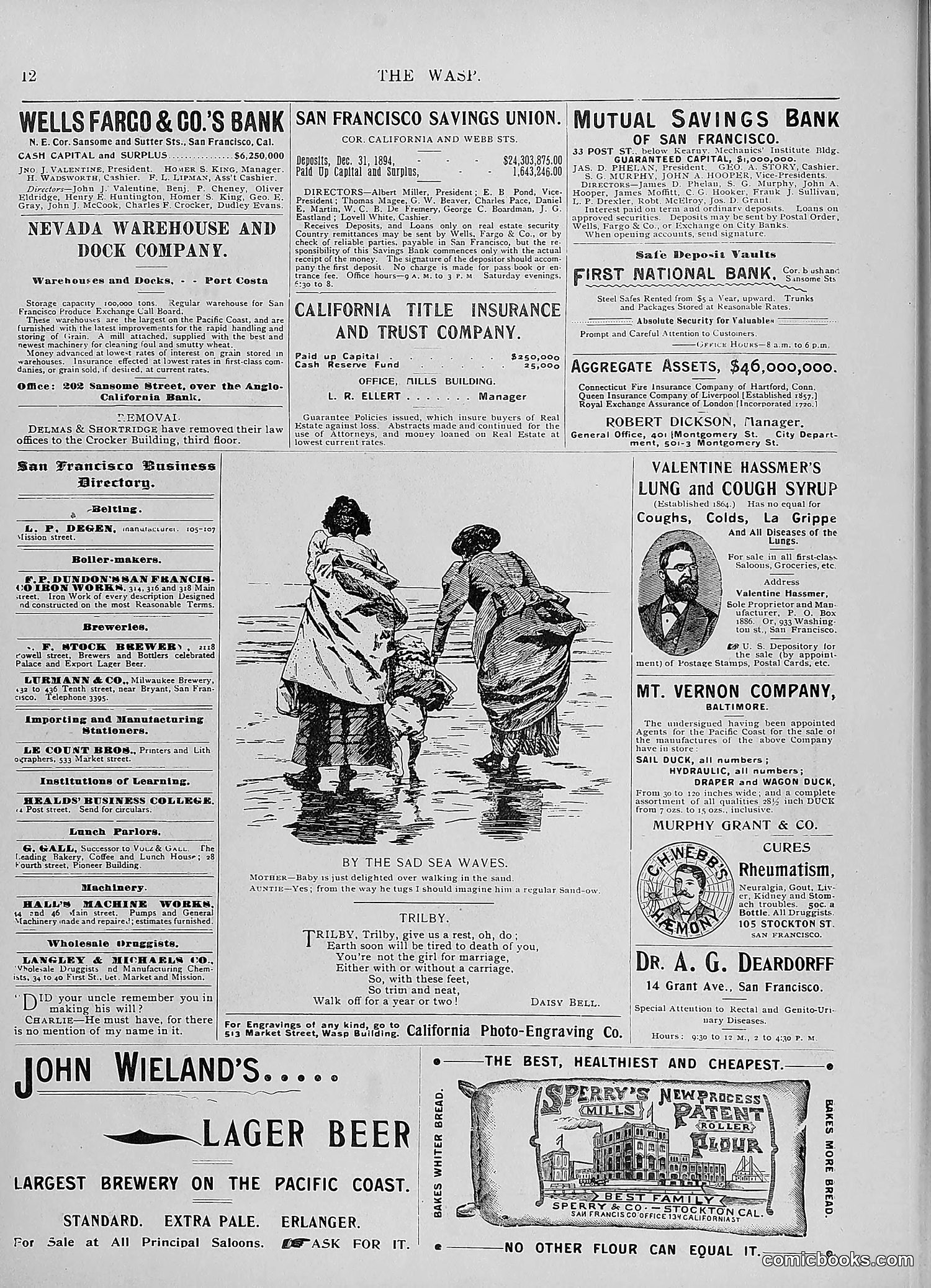 The Wasp — 1895 — page 815 of 1100