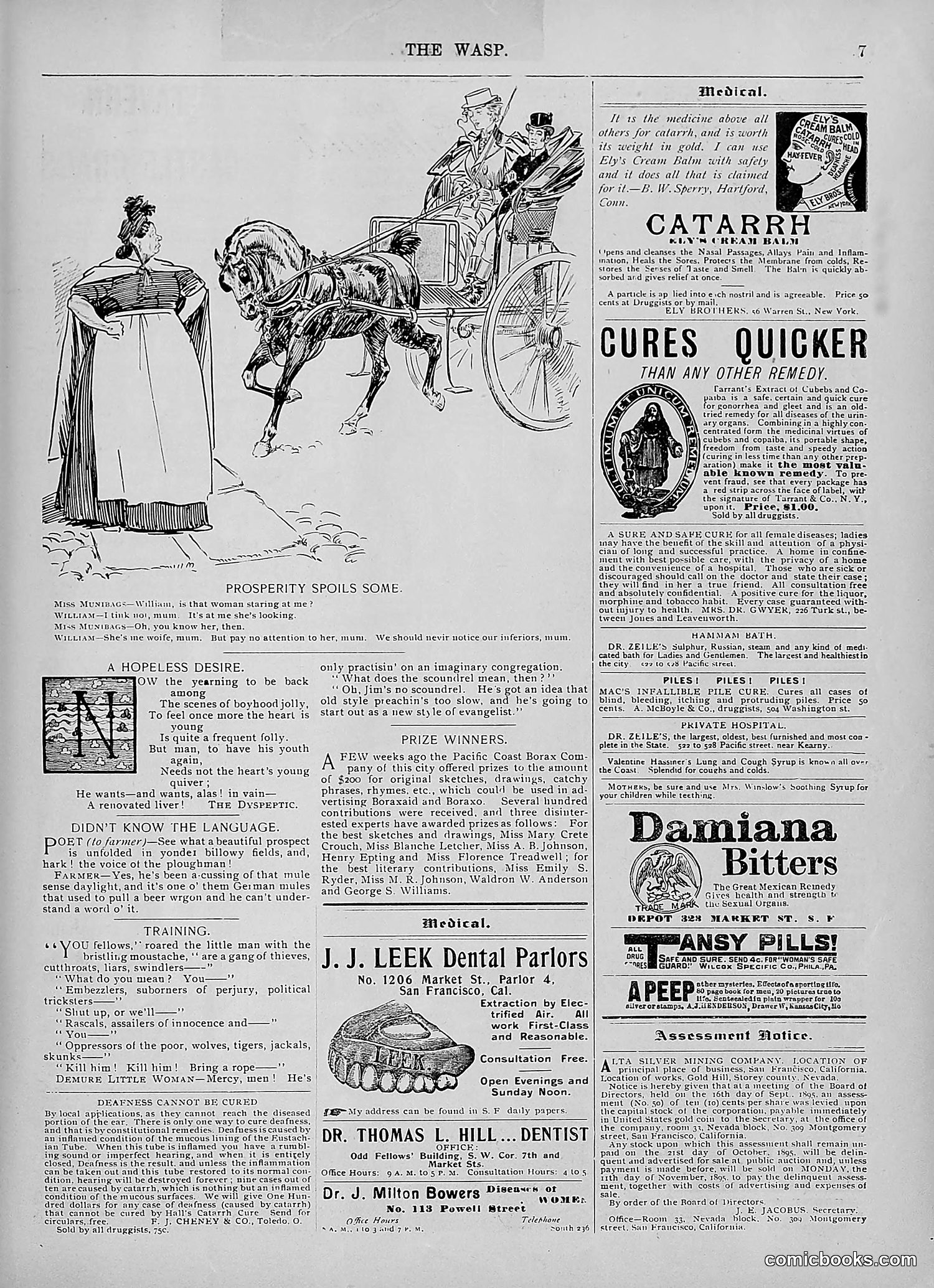 The Wasp — 1895 — page 820 of 1100