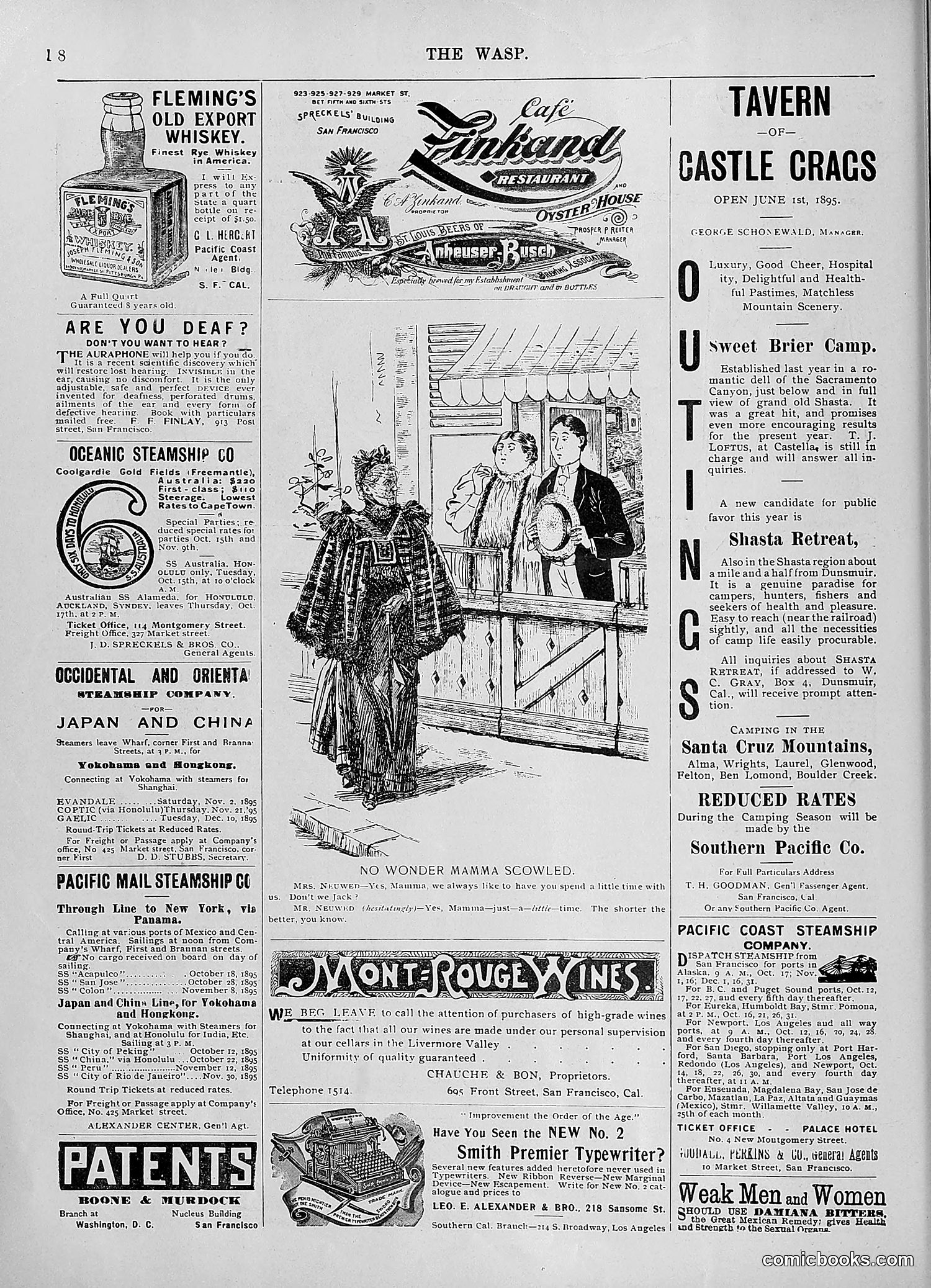The Wasp — 1895 — page 821 of 1100