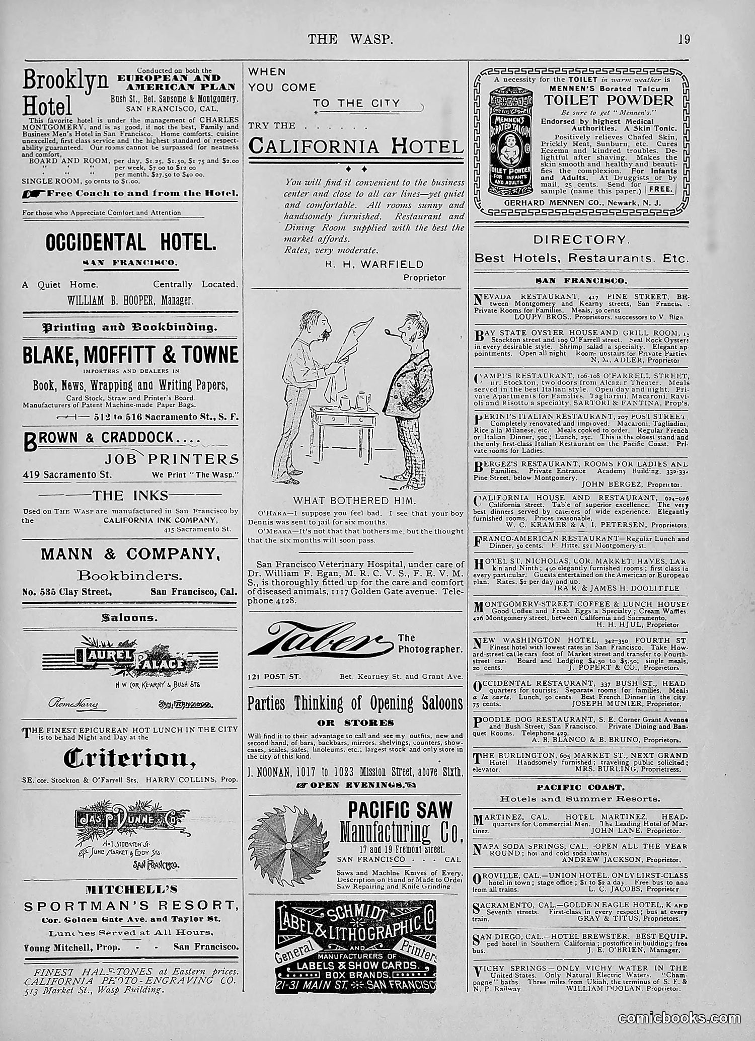 The Wasp — 1895 — page 822 of 1100