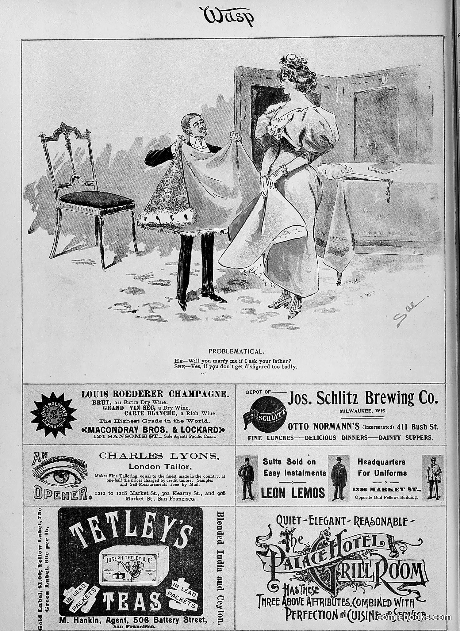 The Wasp — 1895 — page 823 of 1100