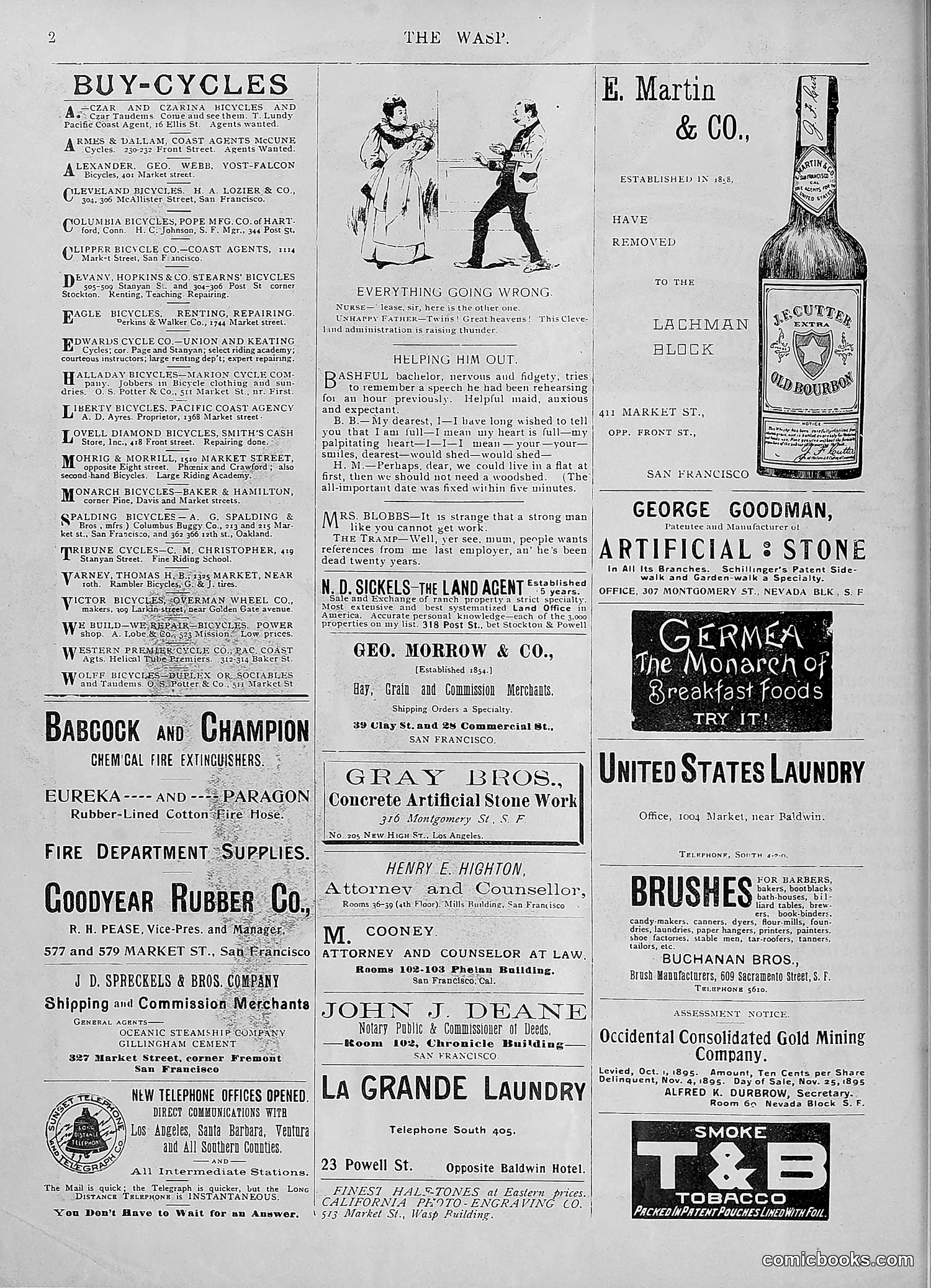 The Wasp — 1895 — page 825 of 1100