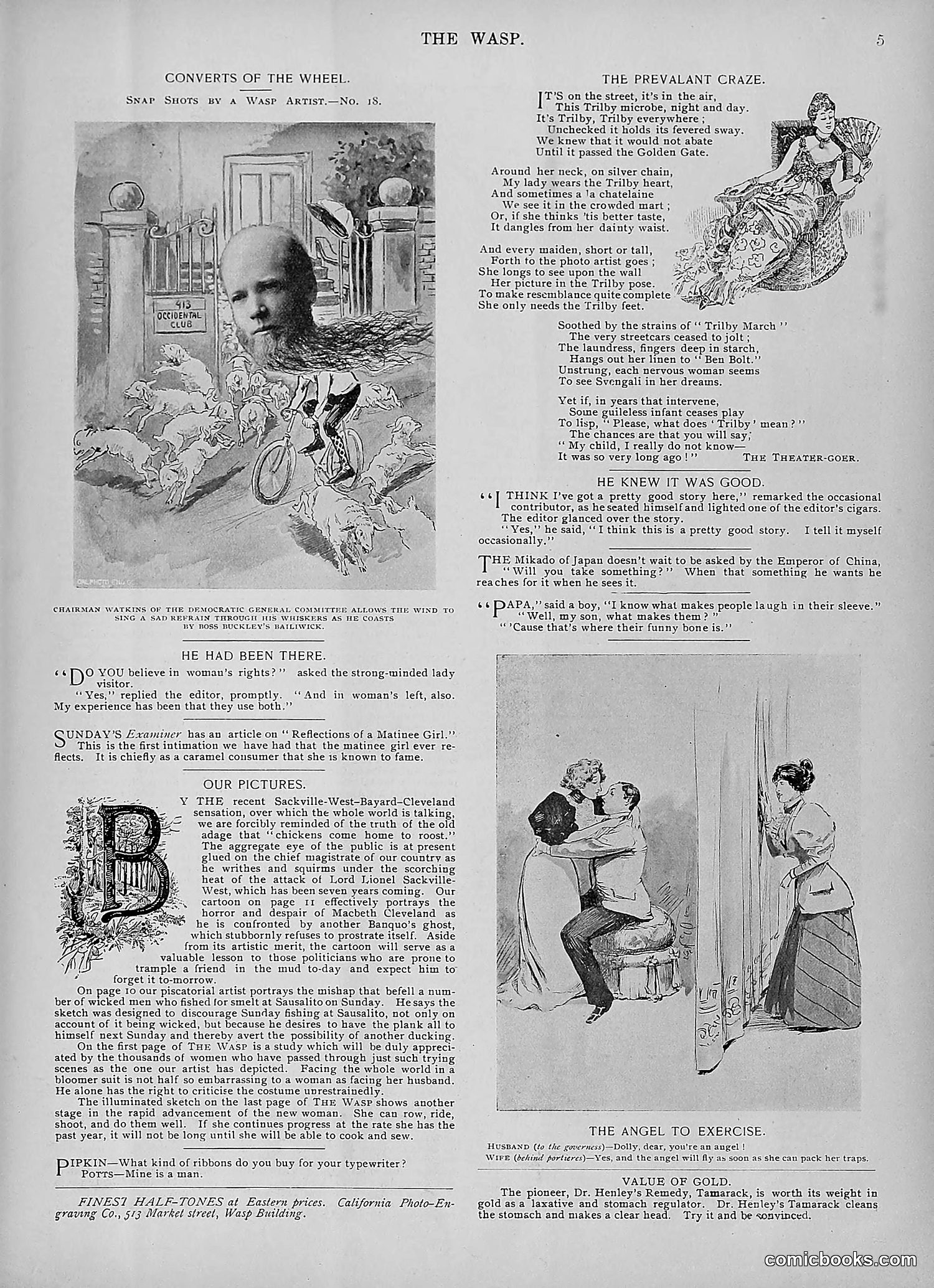 The Wasp — 1895 — page 828 of 1100