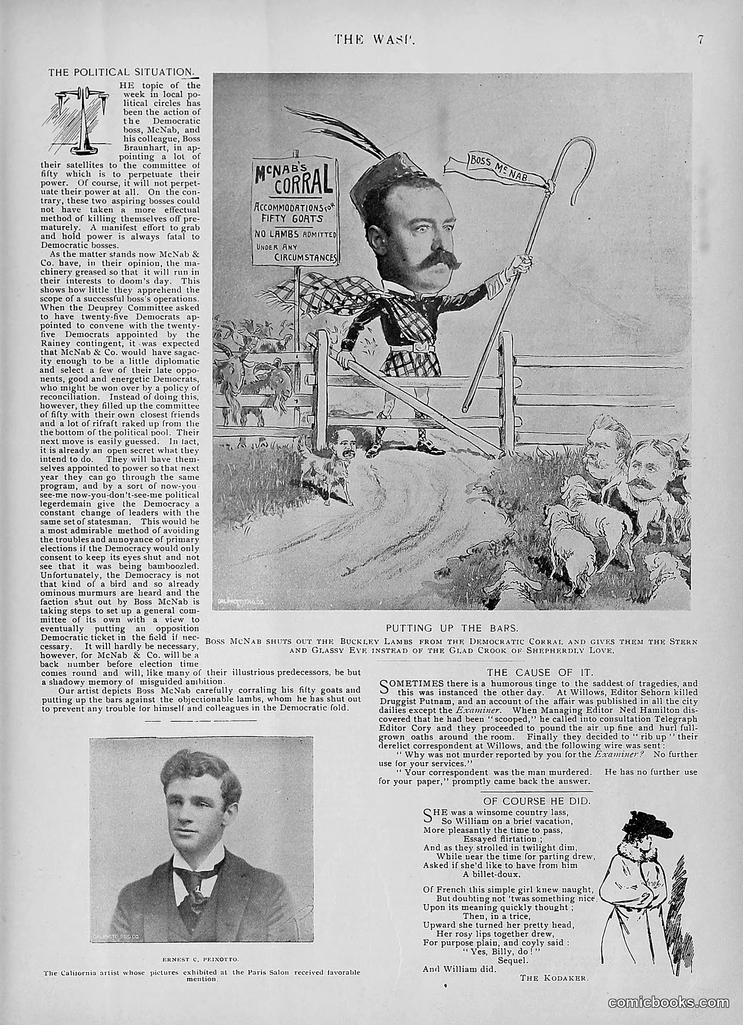 The Wasp — 1895 — page 830 of 1100