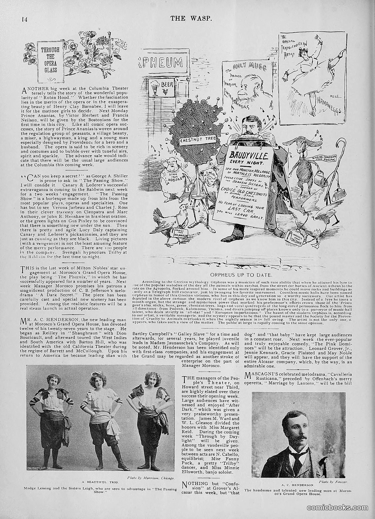 The Wasp — 1895 — page 837 of 1100