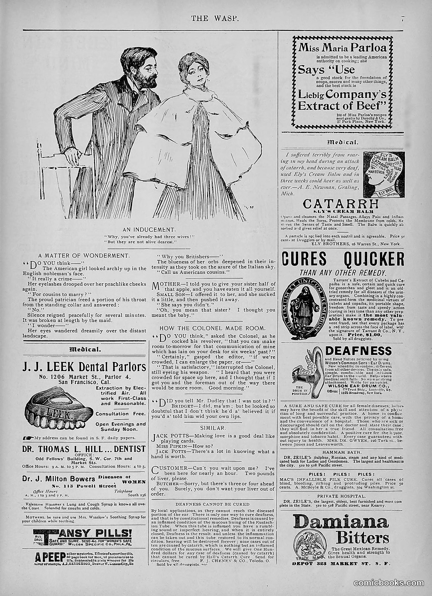 The Wasp — 1895 — page 840 of 1100