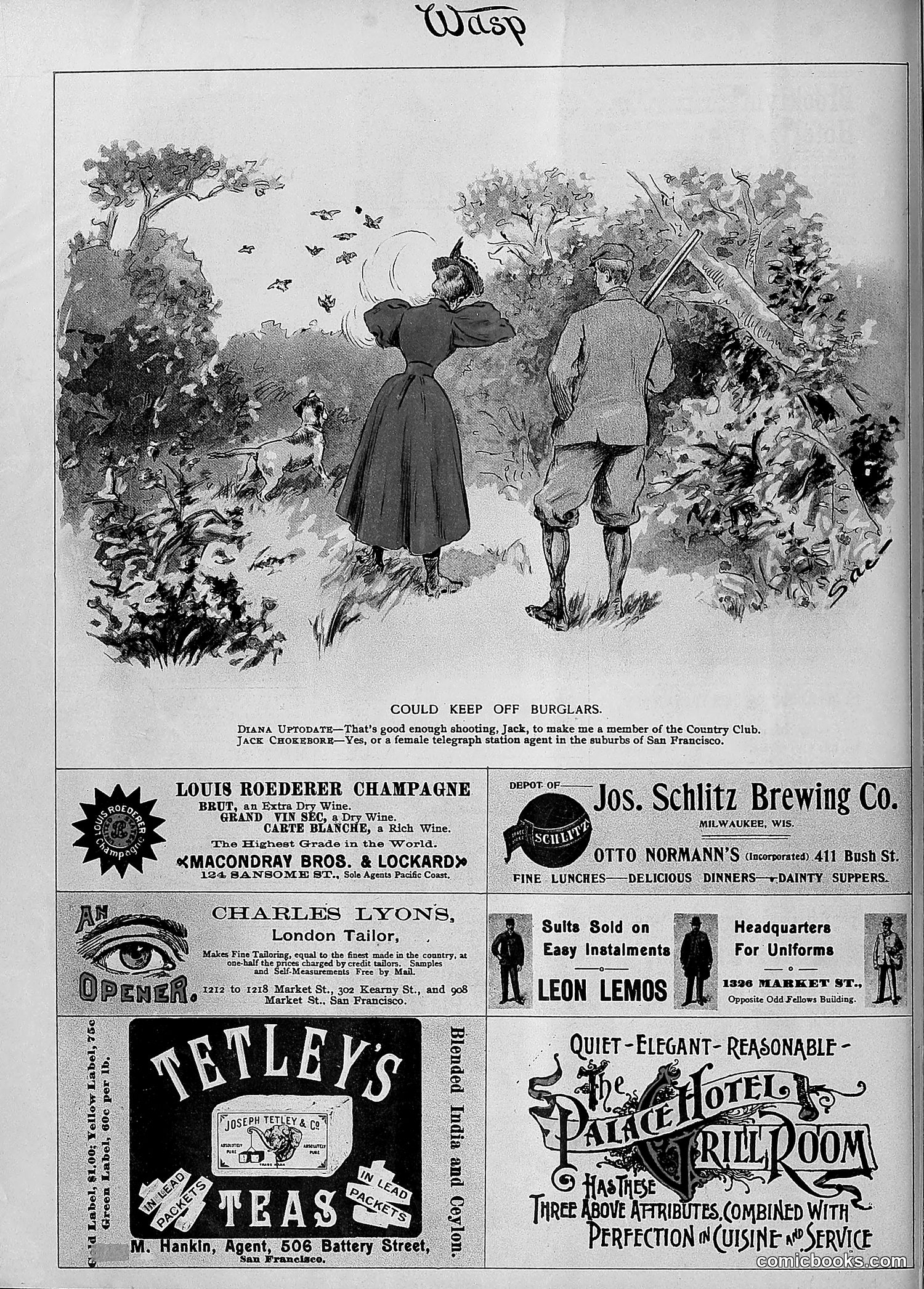 The Wasp — 1895 — page 843 of 1100