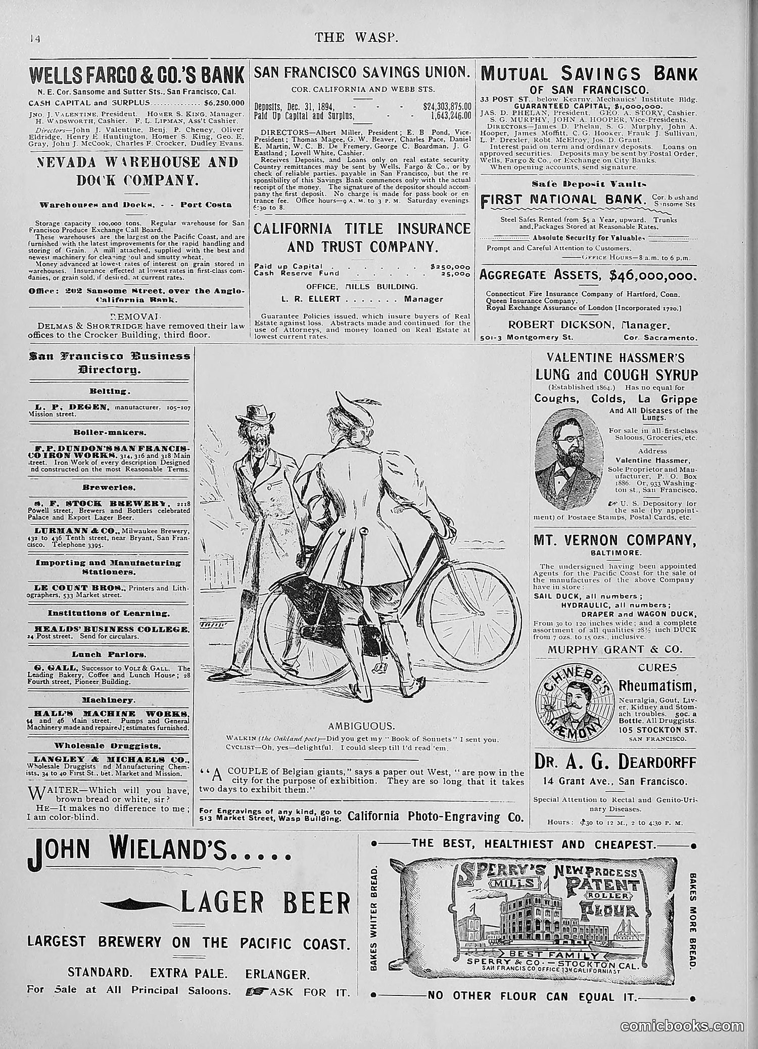 The Wasp — 1895 — page 857 of 1100