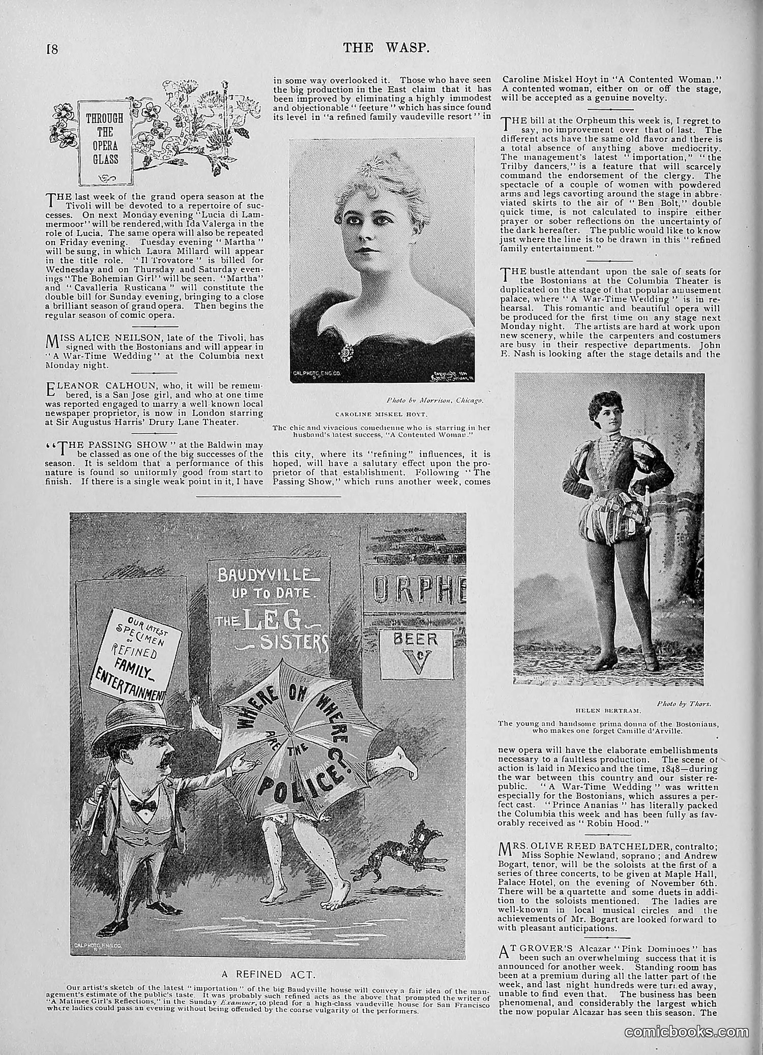 The Wasp — 1895 — page 861 of 1100