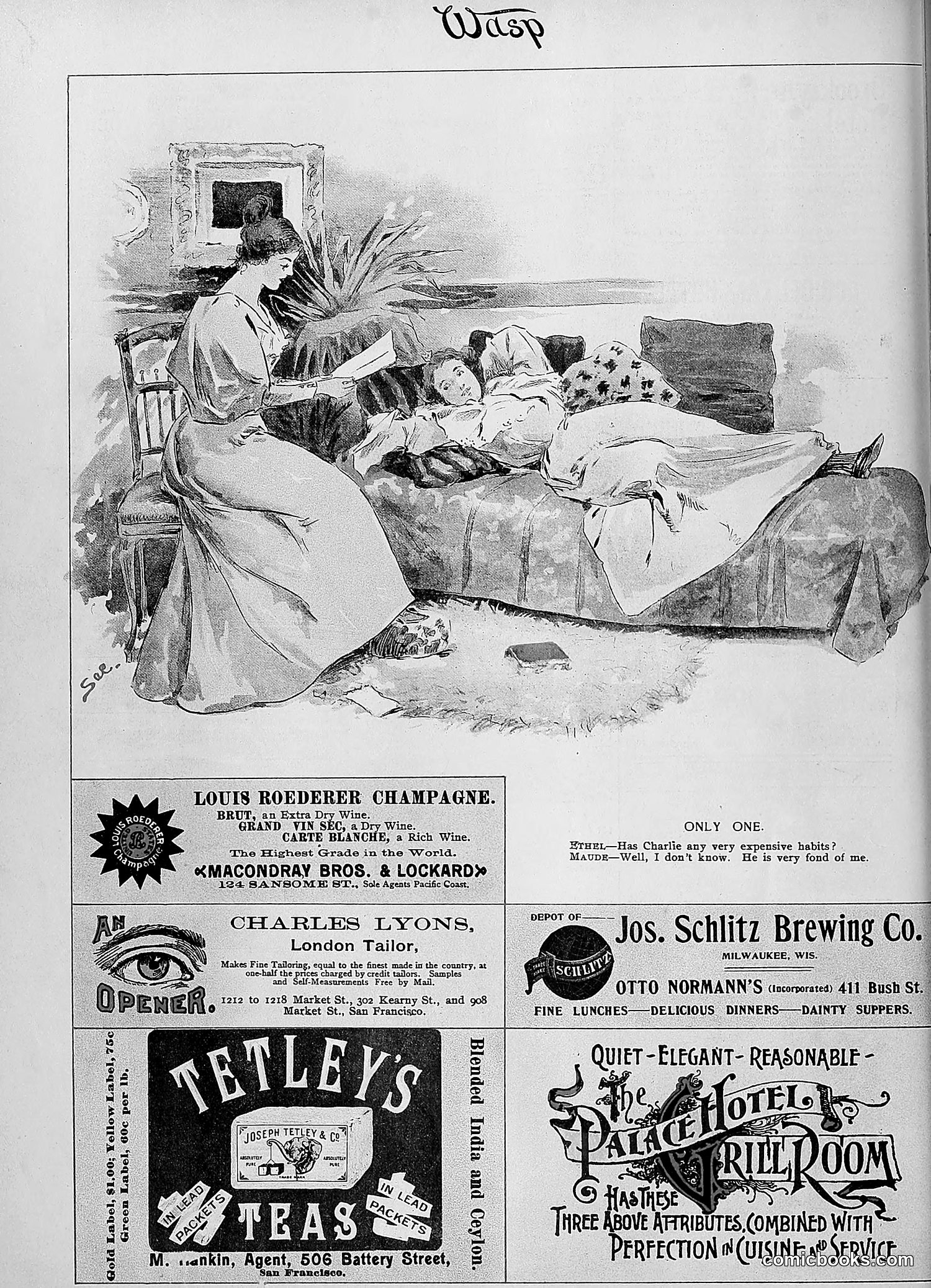The Wasp — 1895 — page 867 of 1100