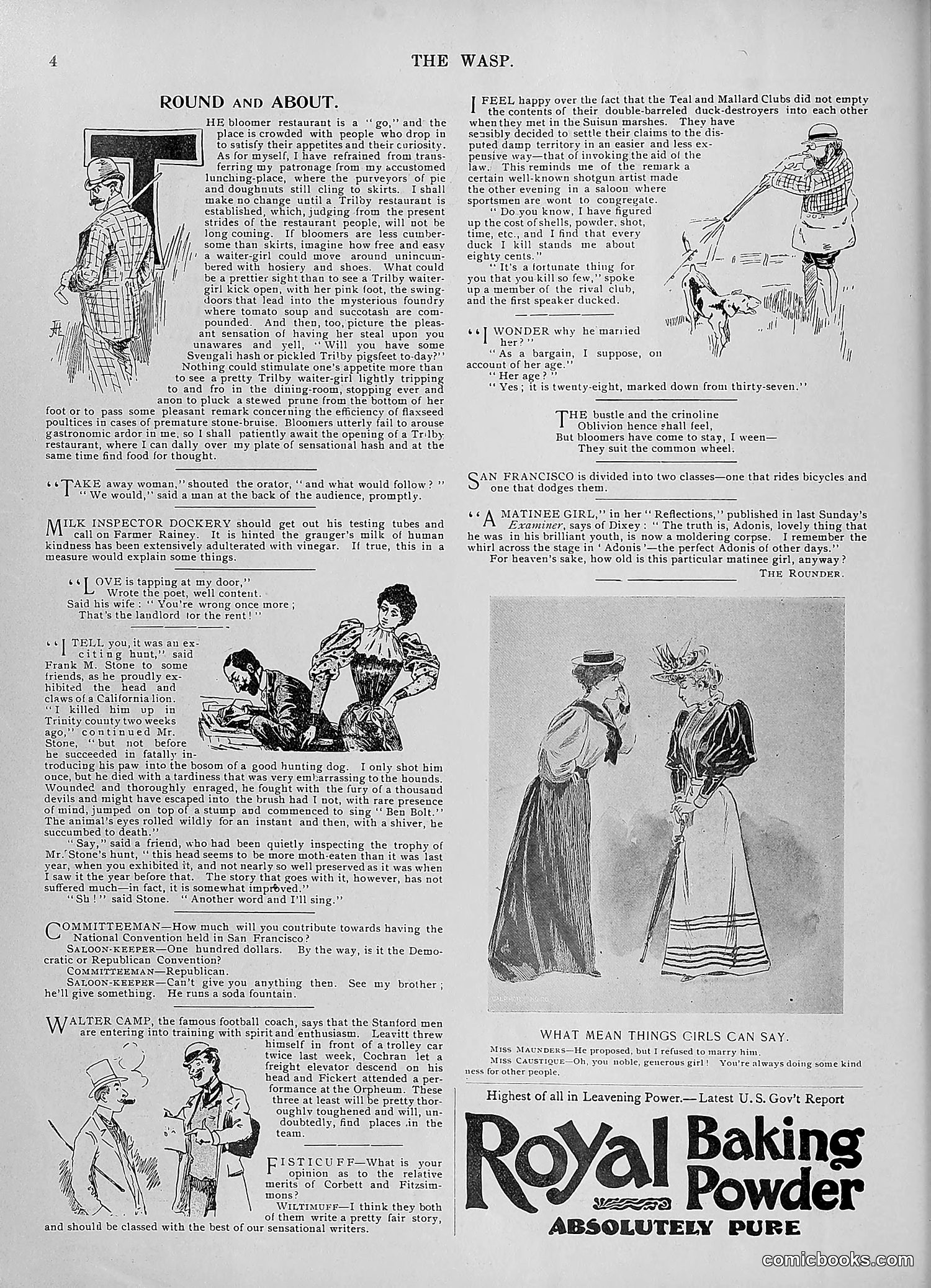 The Wasp — 1895 — page 871 of 1100