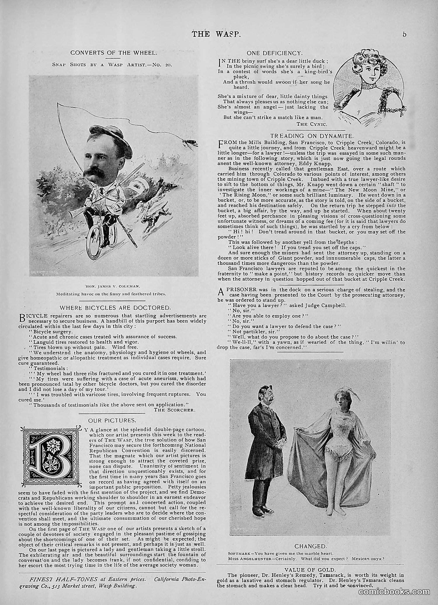 The Wasp — 1895 — page 872 of 1100