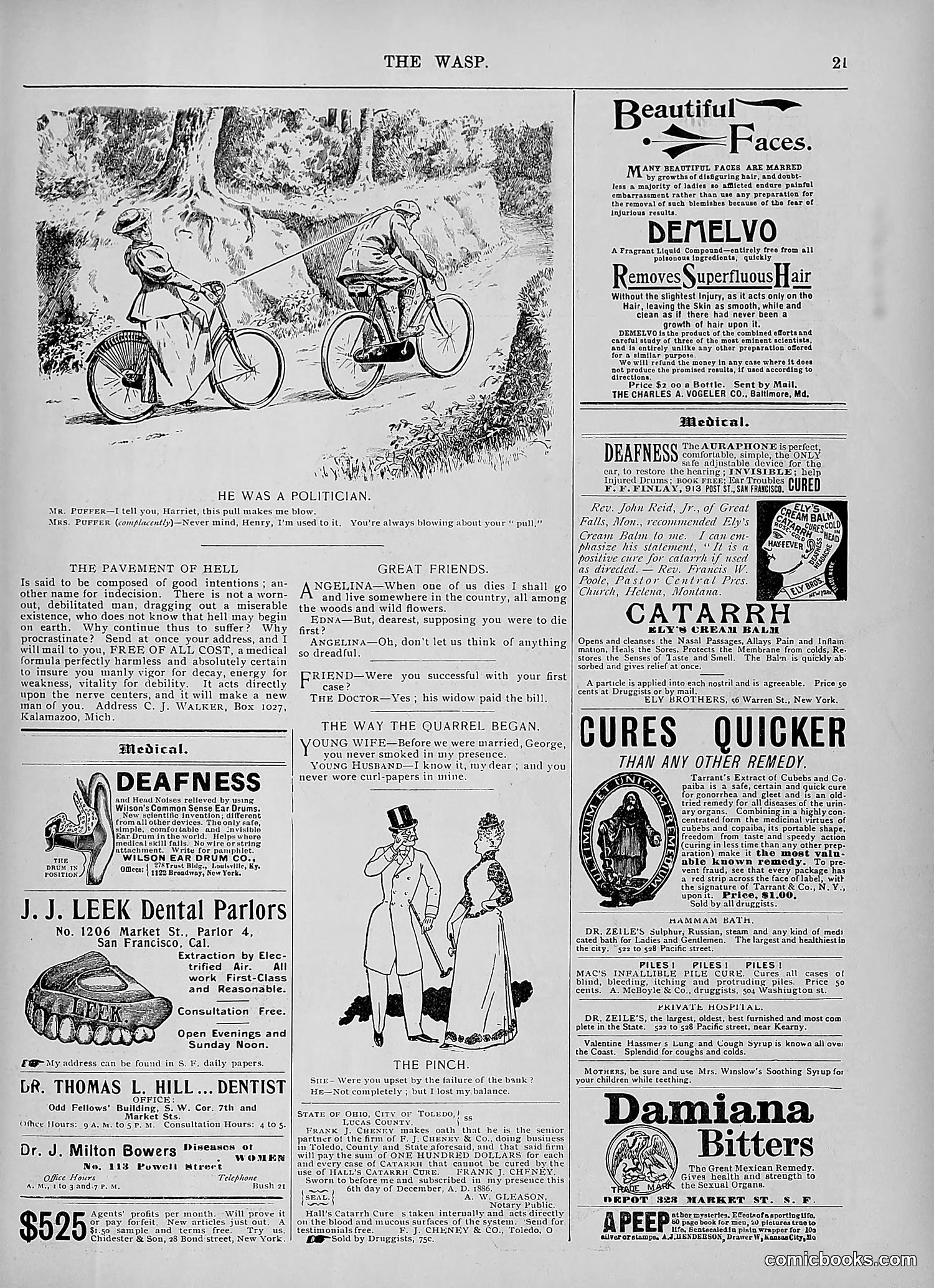 The Wasp — 1895 — page 888 of 1100