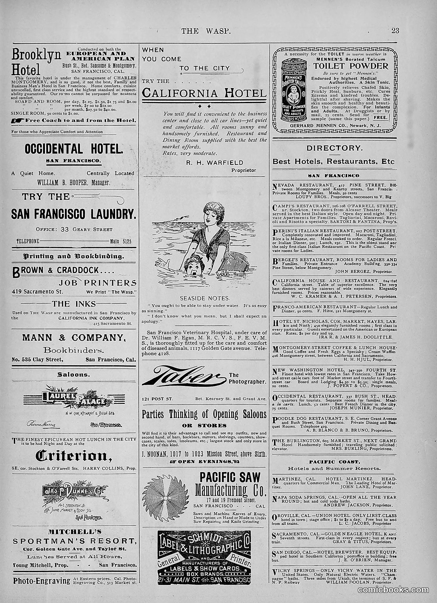 The Wasp — 1895 — page 890 of 1100