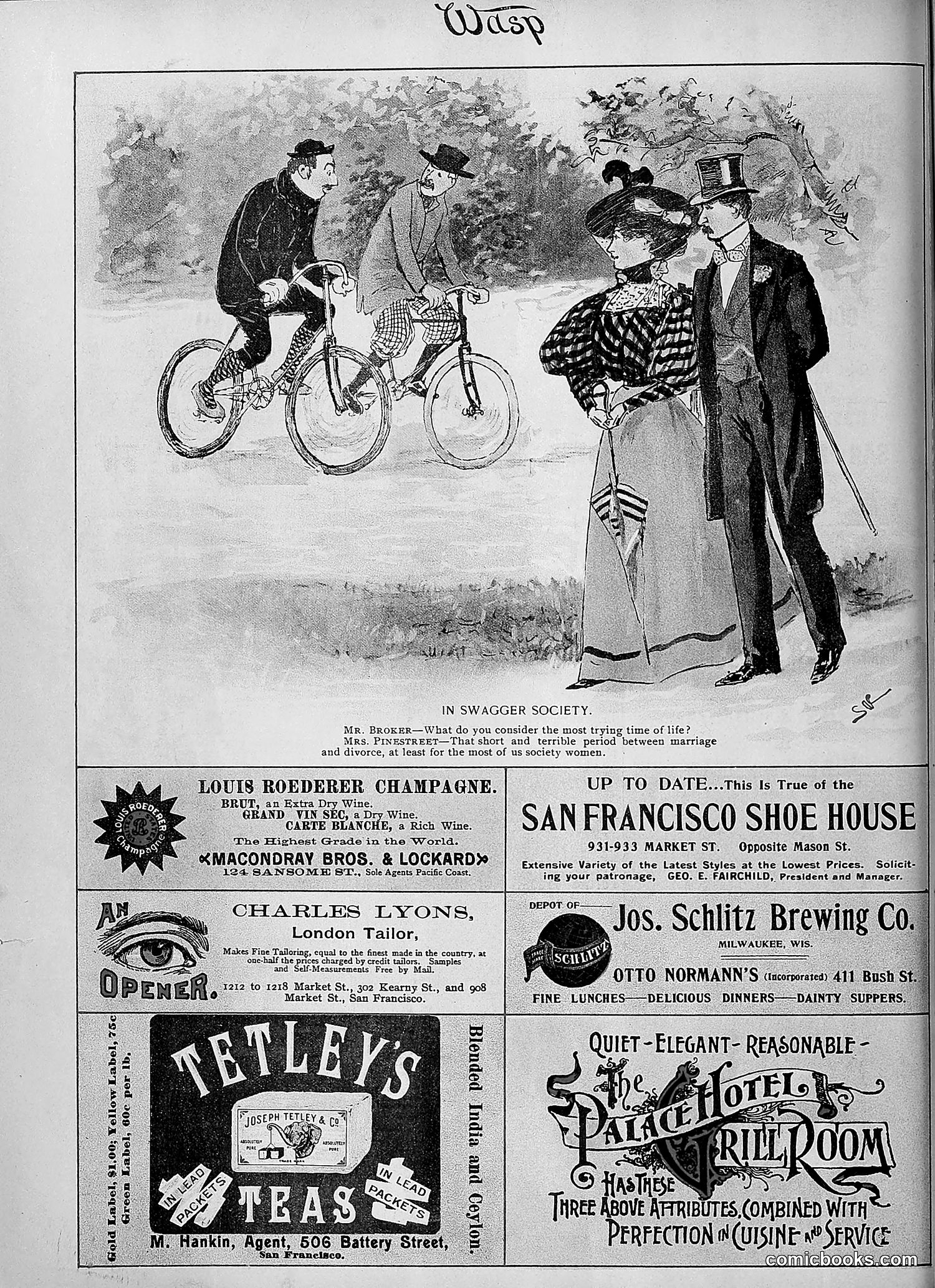 The Wasp — 1895 — page 891 of 1100