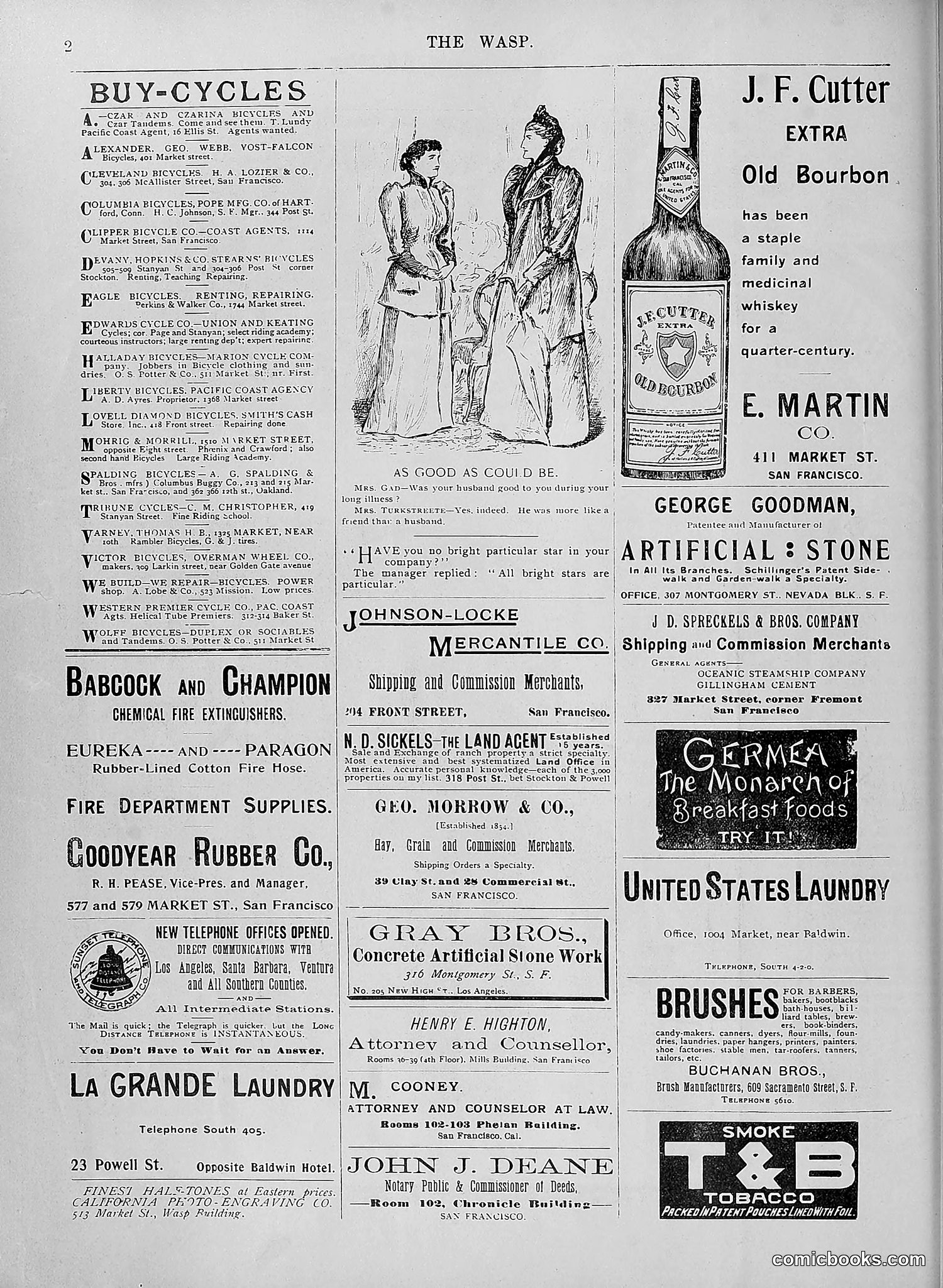 The Wasp — 1895 — page 893 of 1100