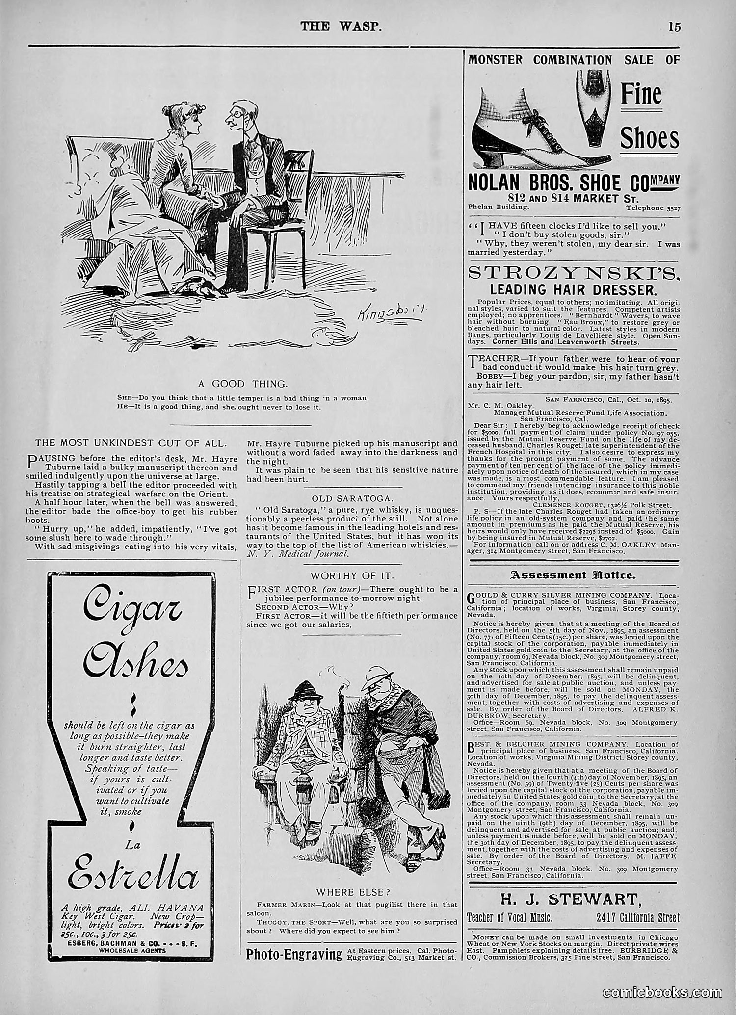 The Wasp — 1895 — page 906 of 1100