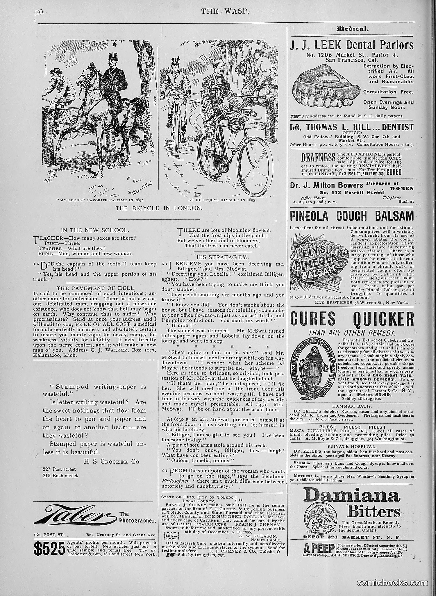 The Wasp — 1895 — page 911 of 1100