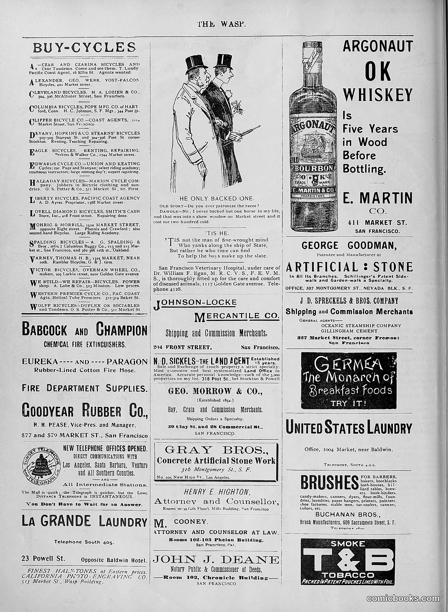 The Wasp — 1895 — page 917 of 1100