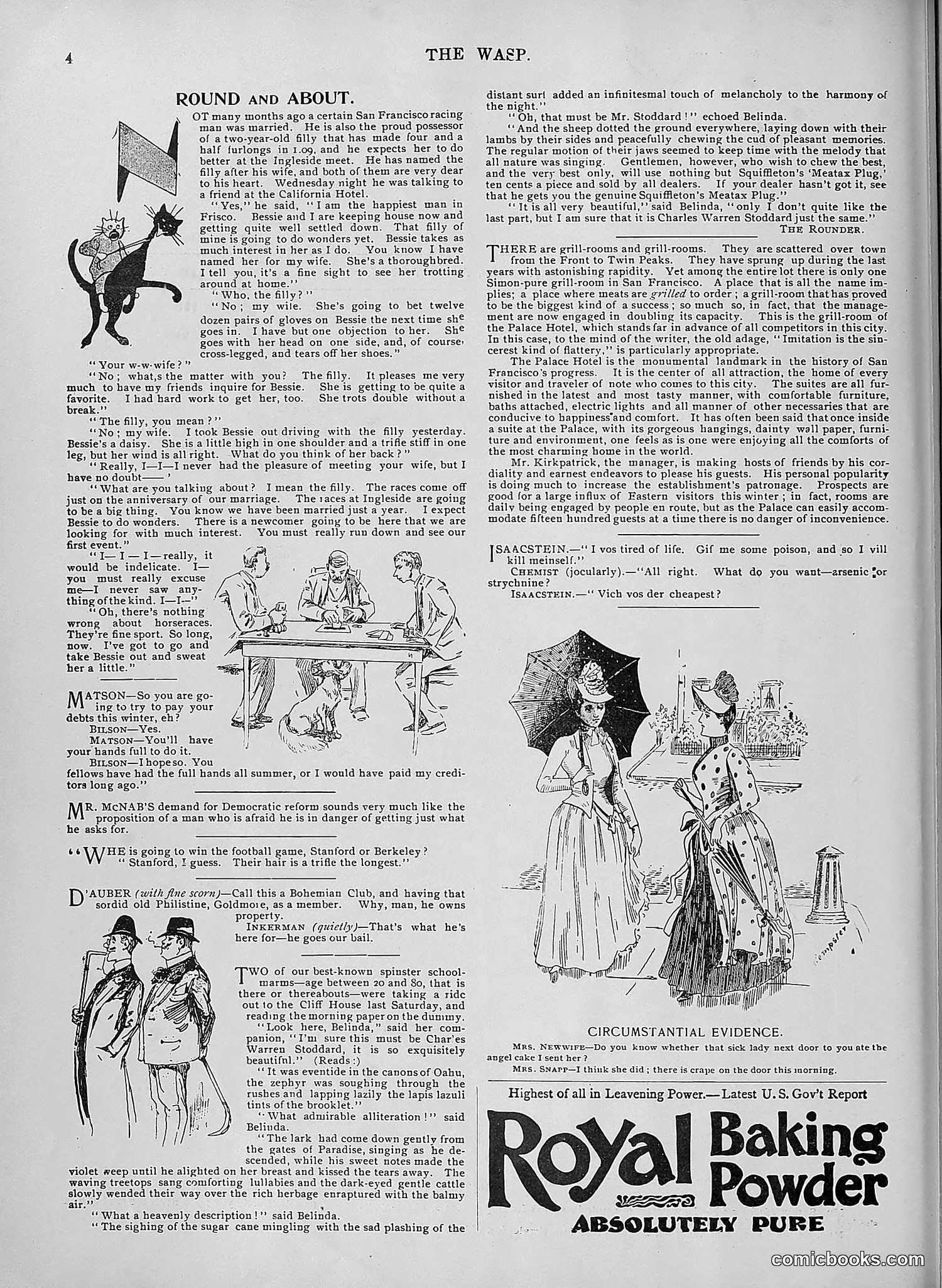 The Wasp — 1895 — page 919 of 1100