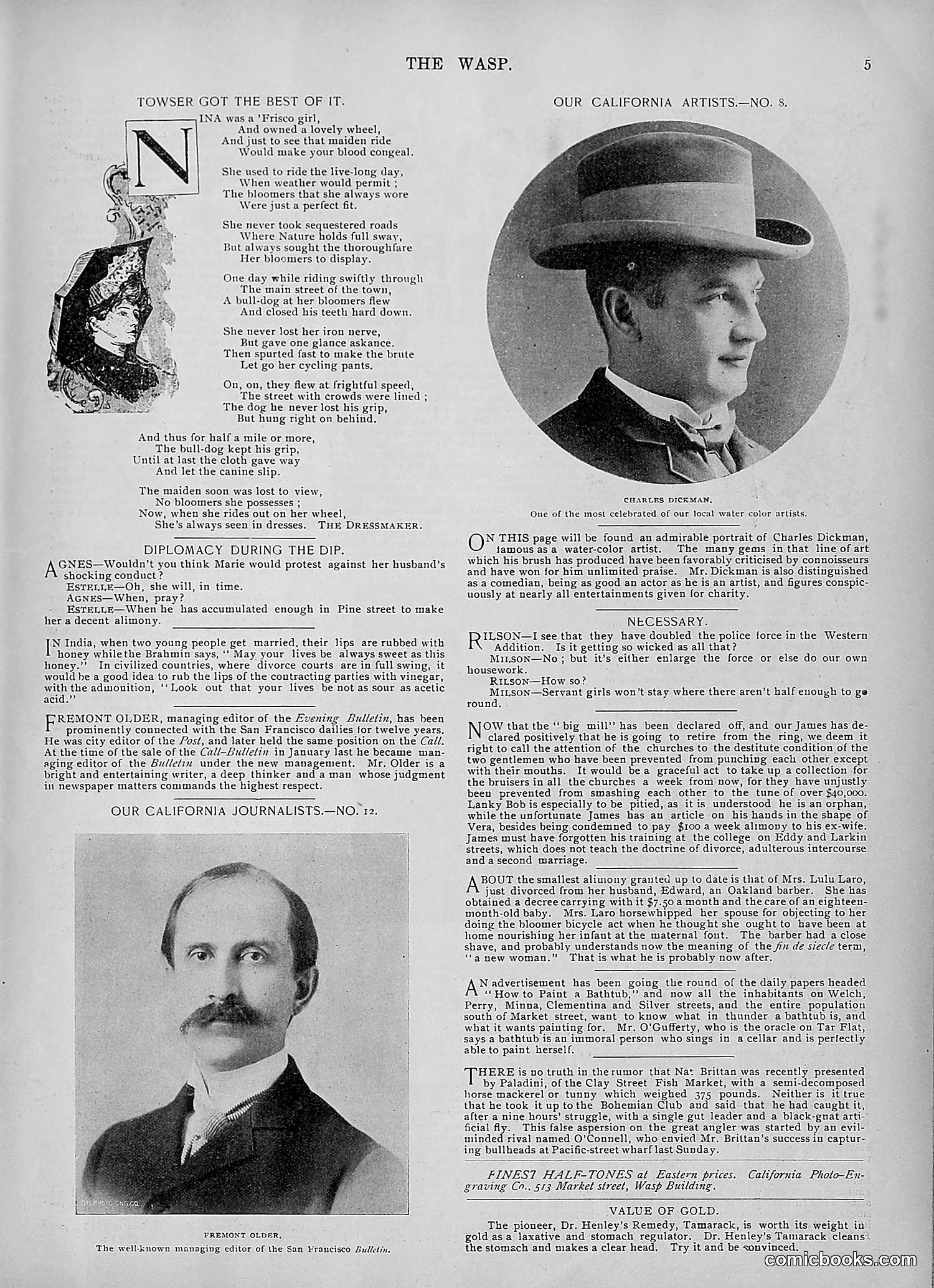 The Wasp — 1895 — page 920 of 1100