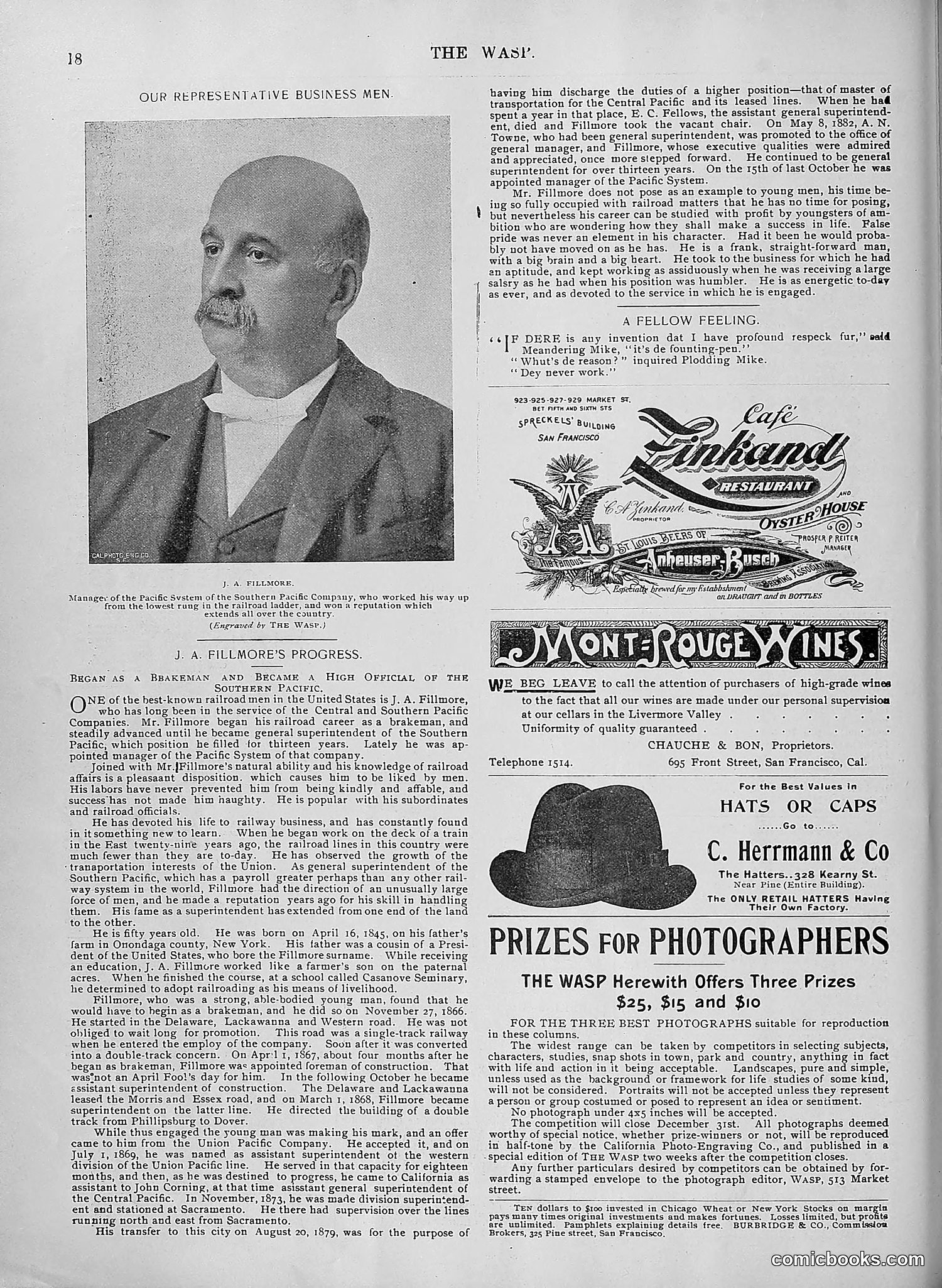 The Wasp — 1895 — page 933 of 1100