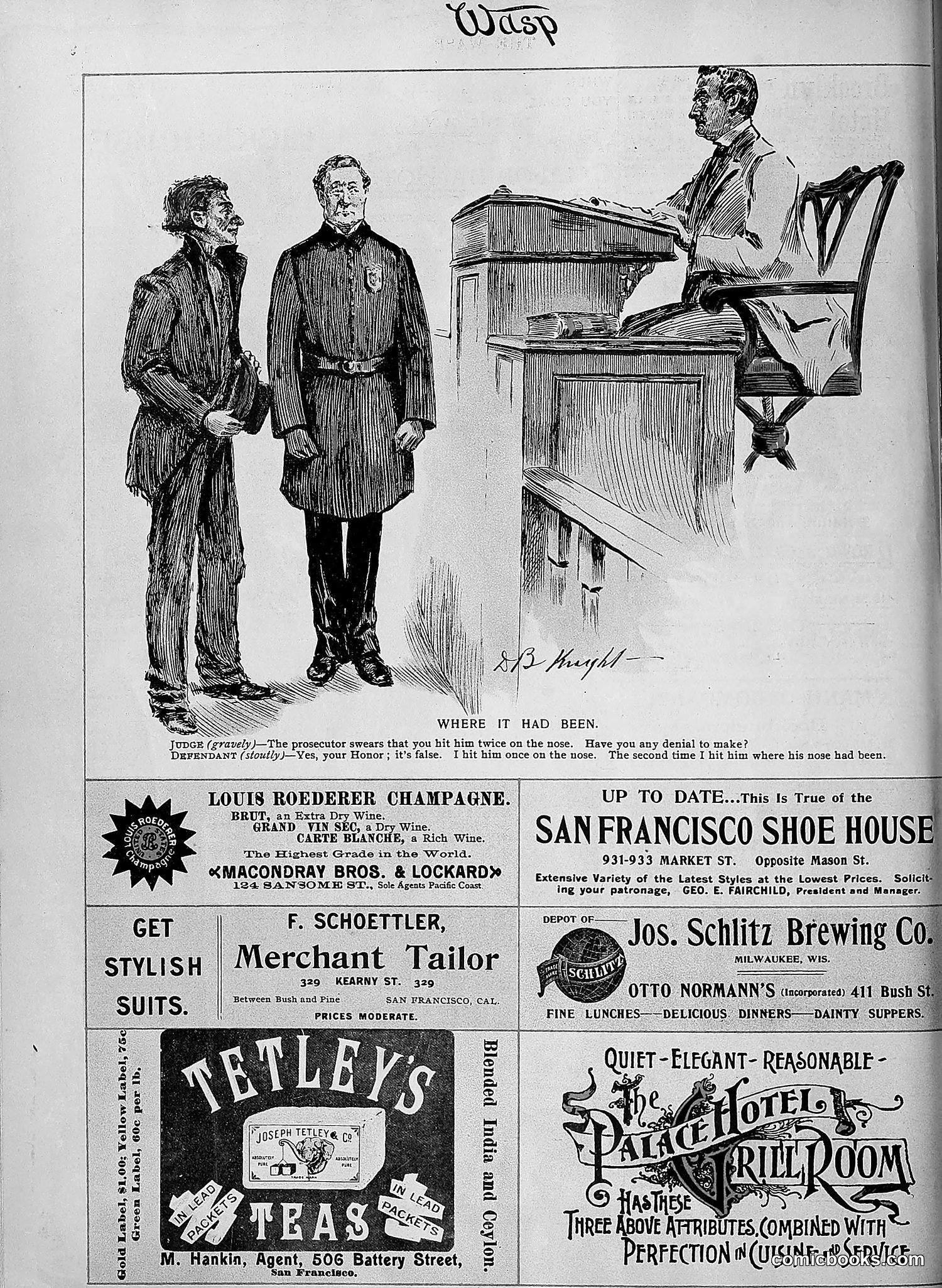 The Wasp — 1895 — page 935 of 1100