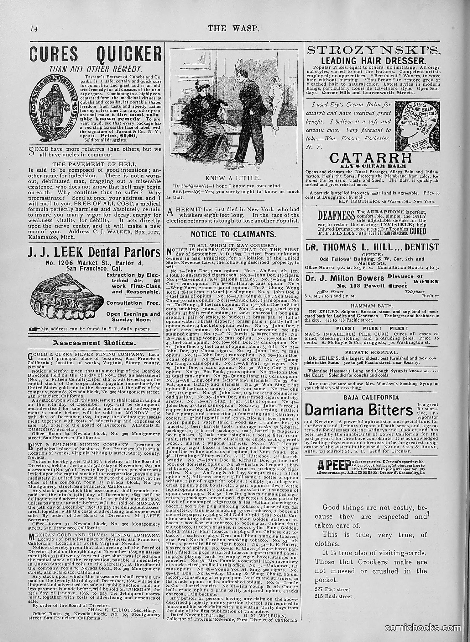 The Wasp — 1895 — page 949 of 1100