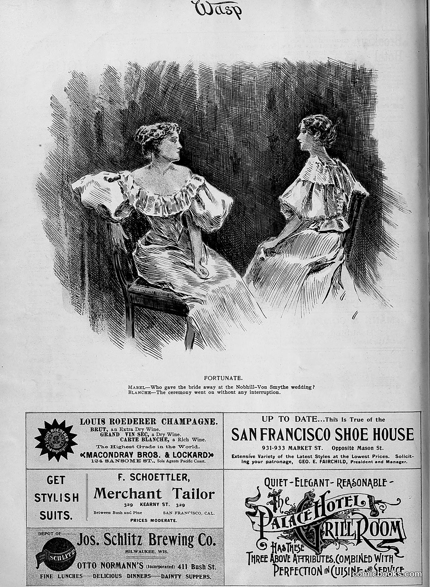 The Wasp — 1895 — page 955 of 1100