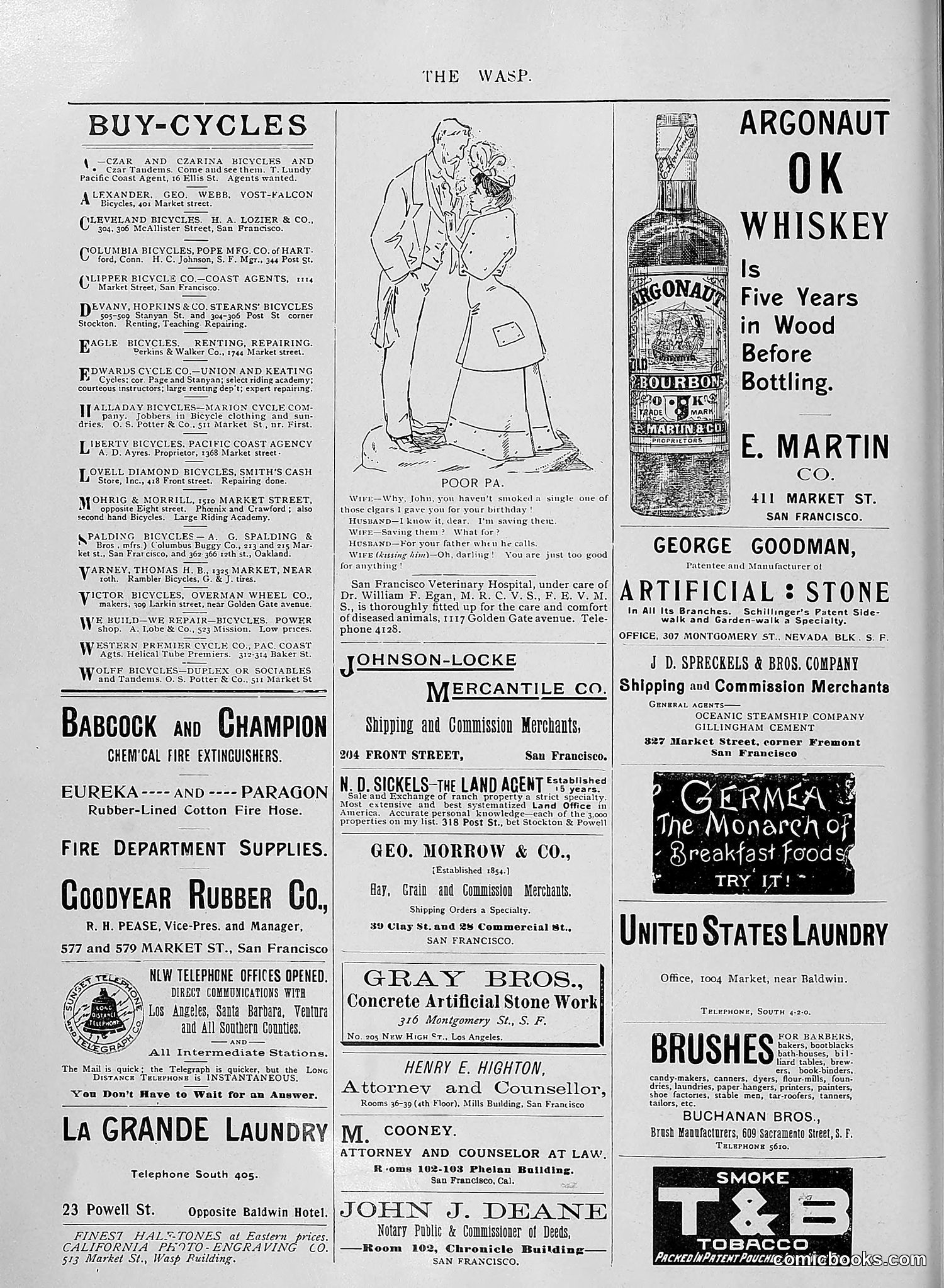 The Wasp — 1895 — page 957 of 1100
