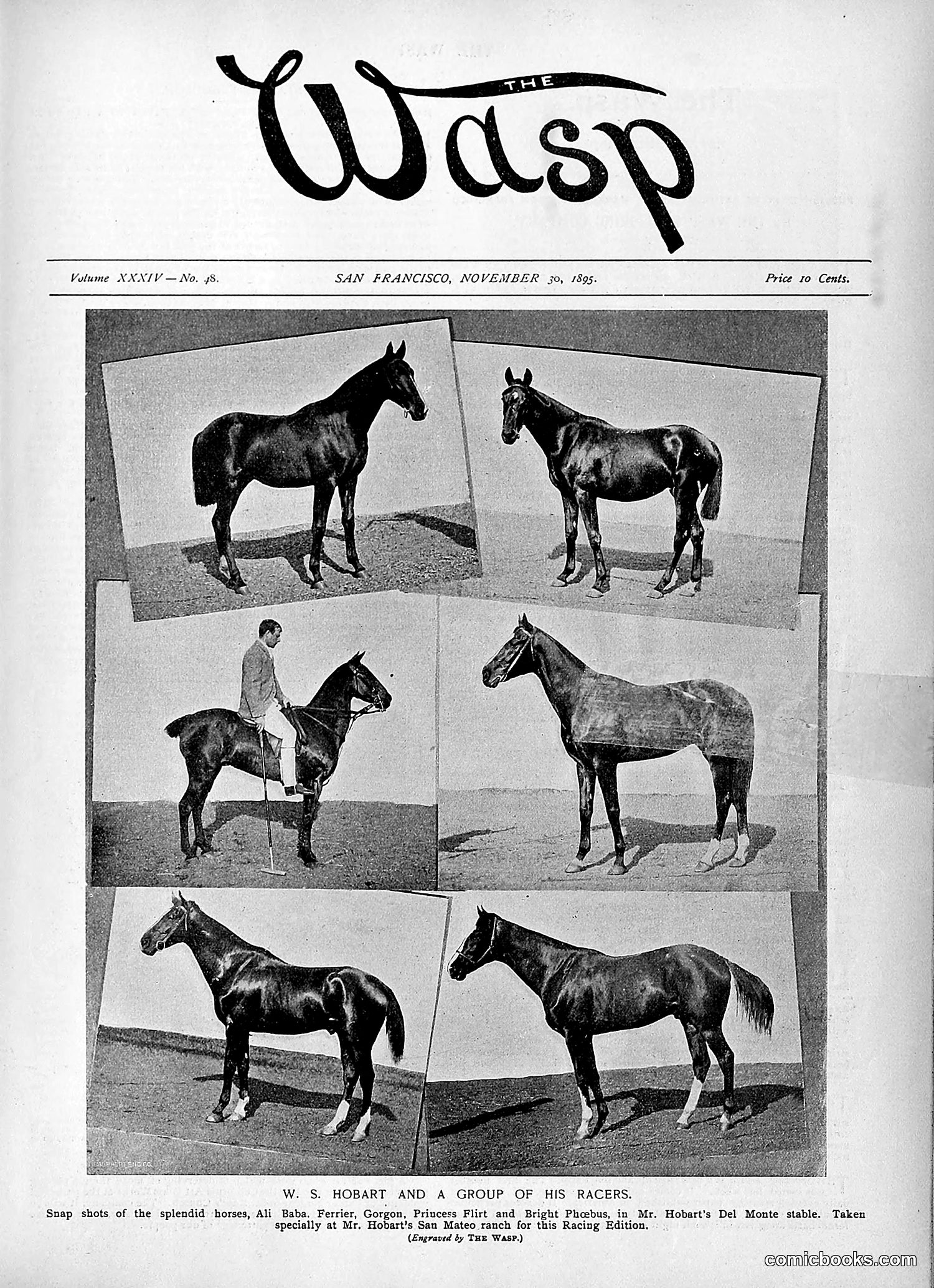 The Wasp — 1895 — page 958 of 1100