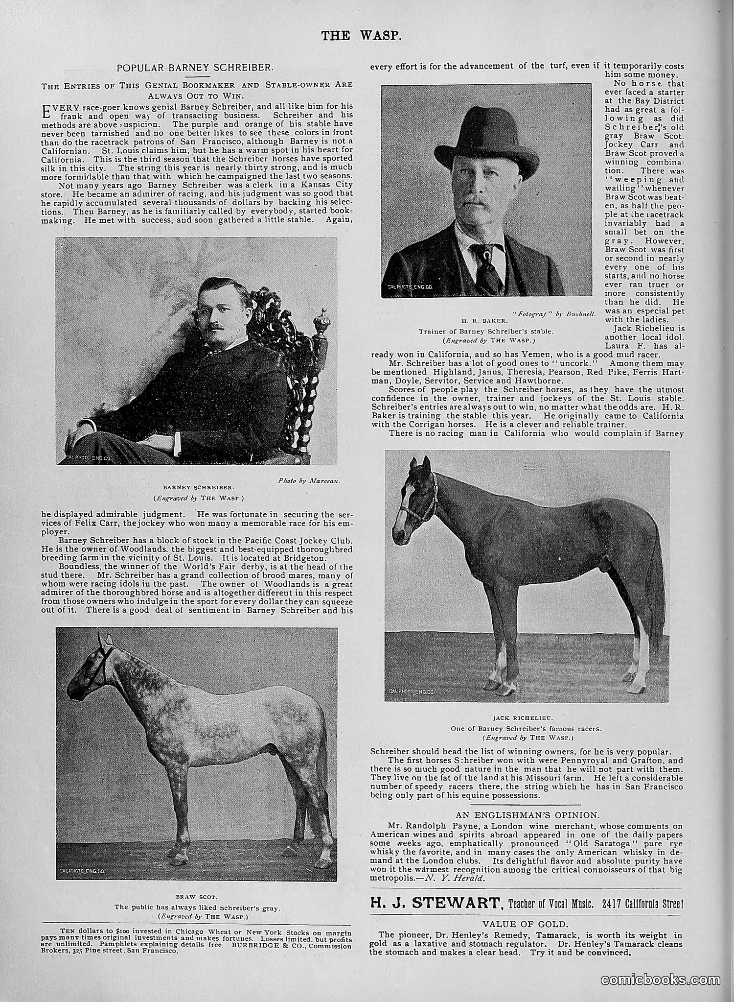 The Wasp — 1895 — page 961 of 1100