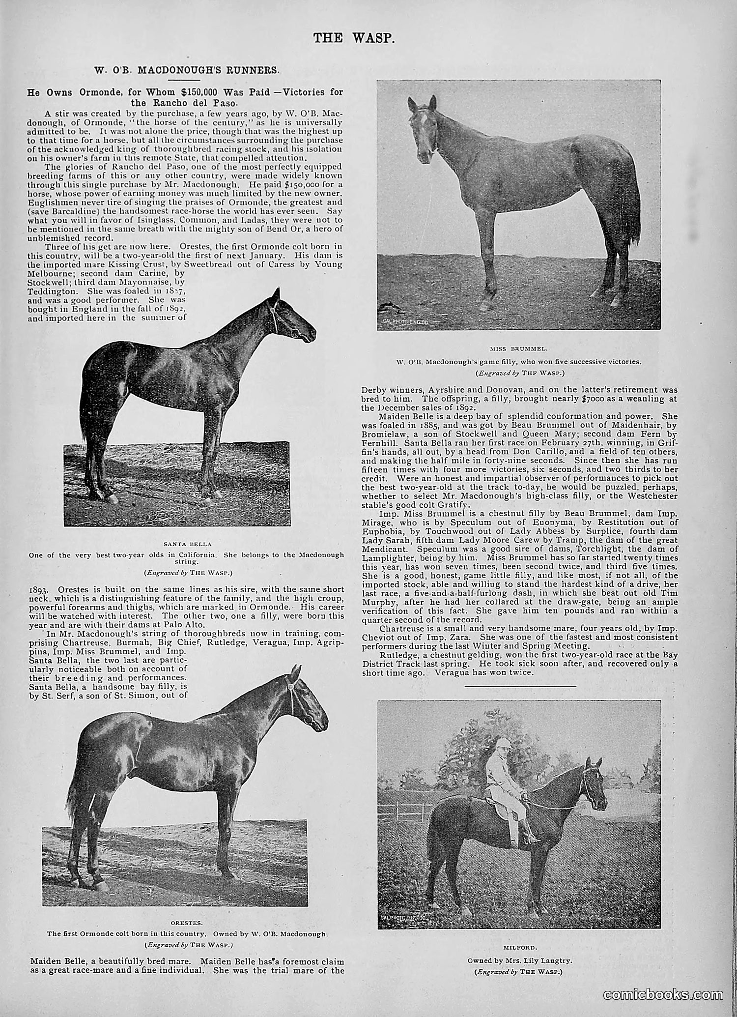 The Wasp — 1895 — page 964 of 1100
