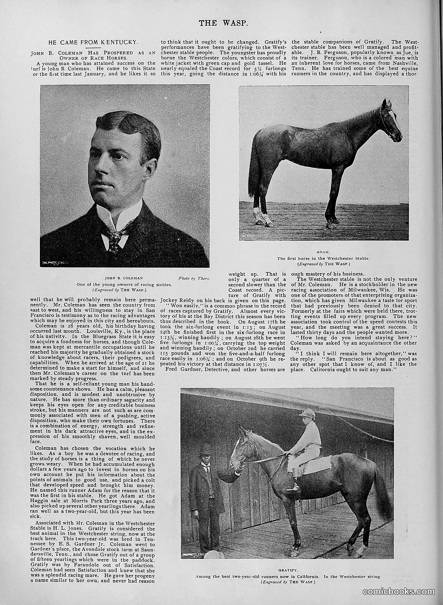 The Wasp — 1895 — page 965 of 1100
