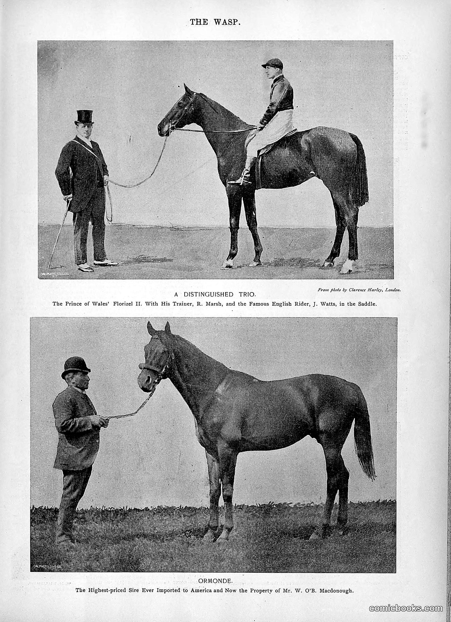 The Wasp — 1895 — page 966 of 1100