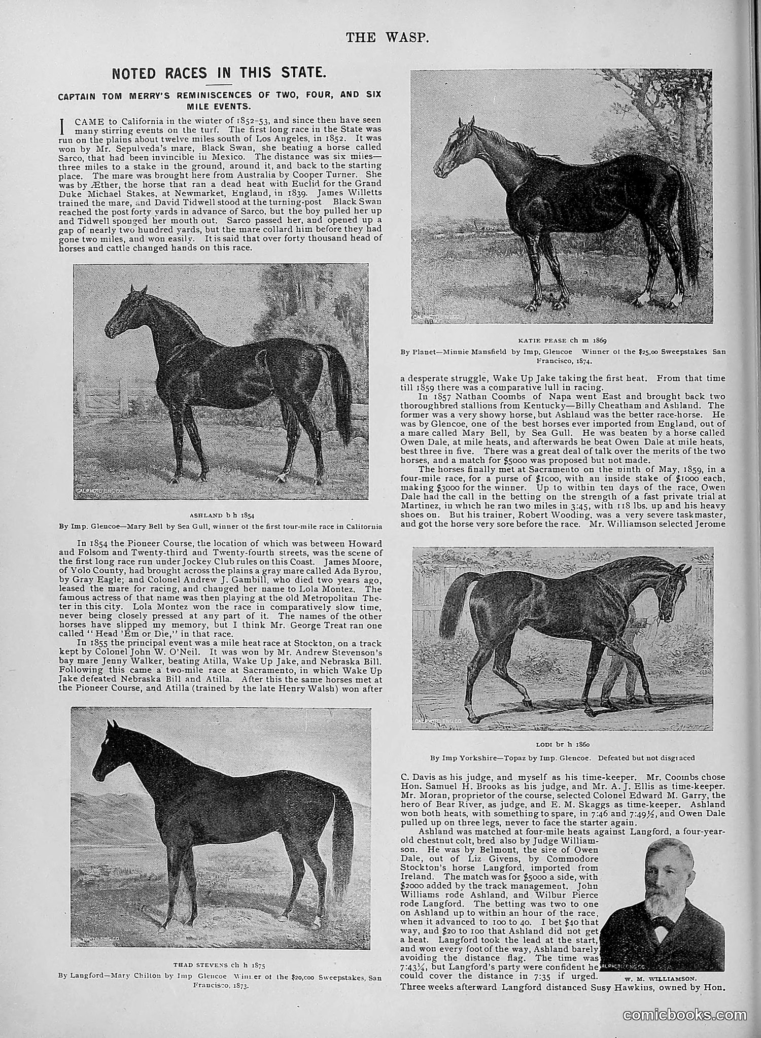 The Wasp — 1895 — page 967 of 1100