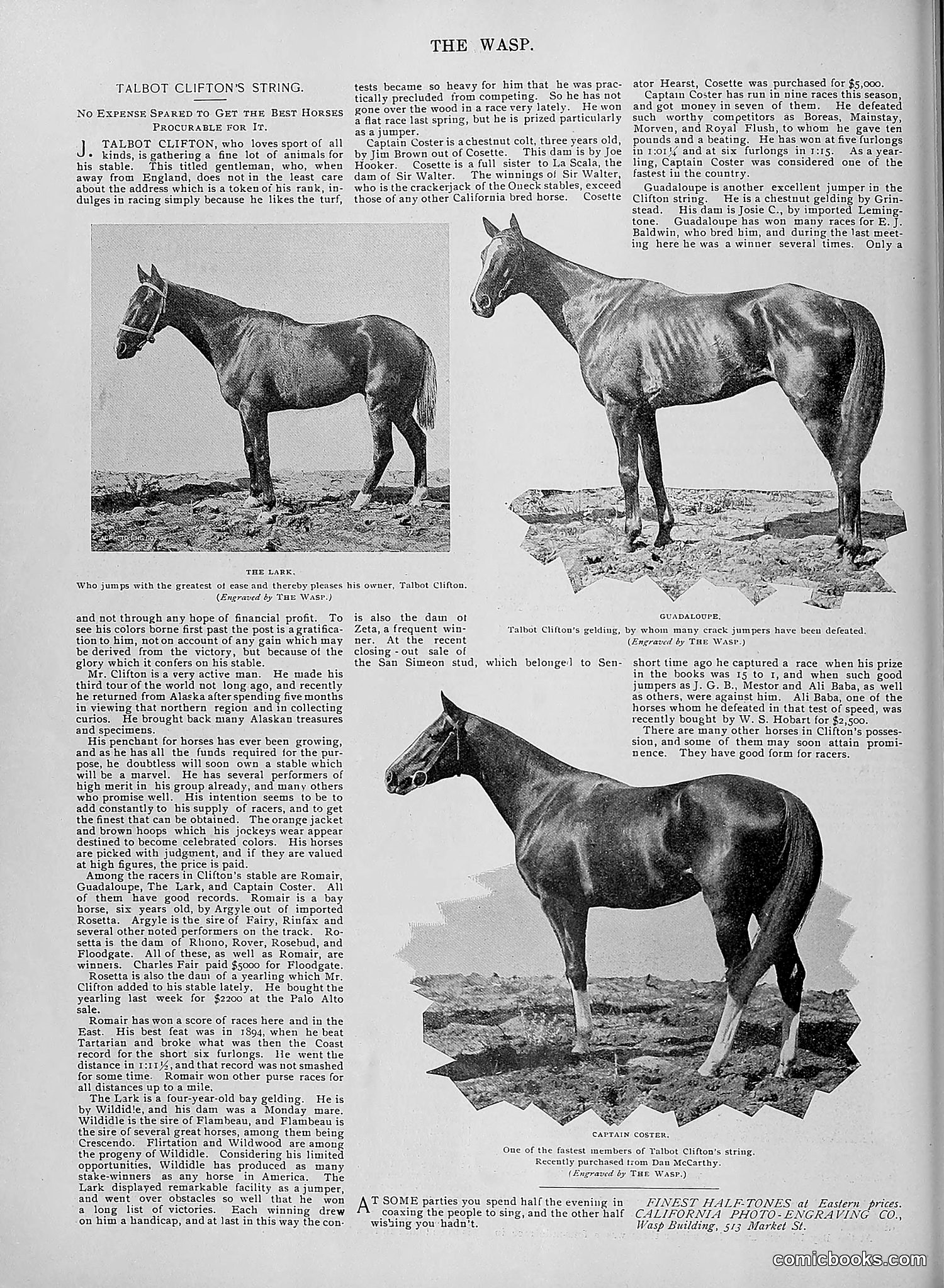 The Wasp — 1895 — page 969 of 1100