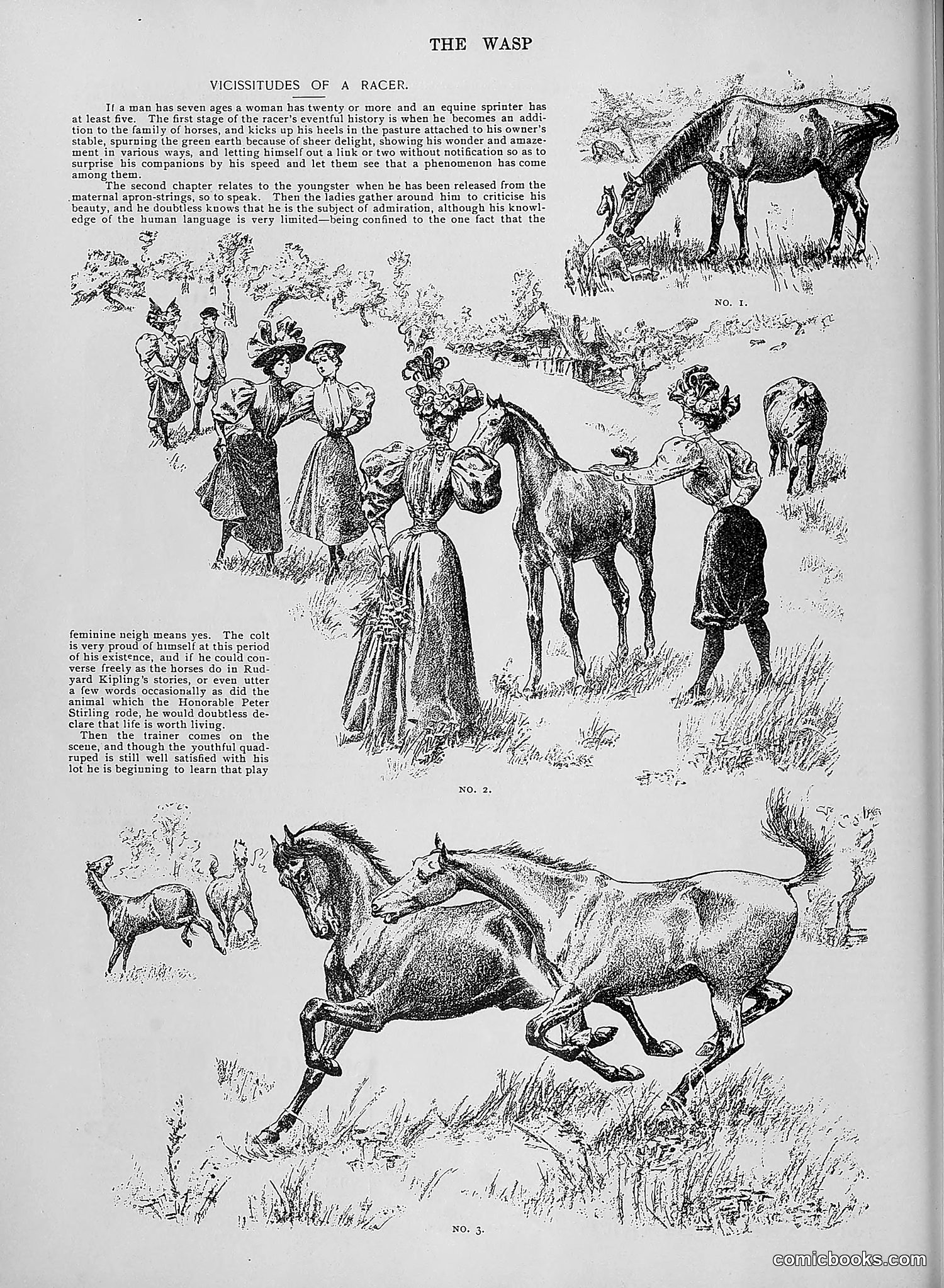The Wasp — 1895 — page 971 of 1100