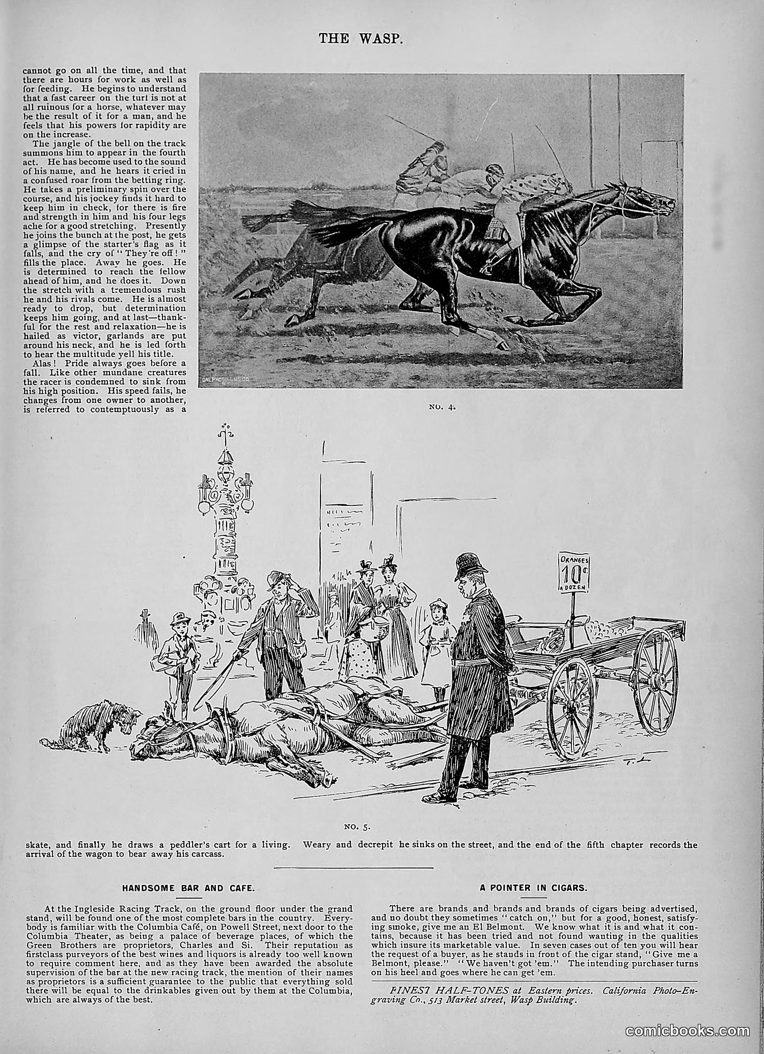 The Wasp — 1895 — page 972 of 1100