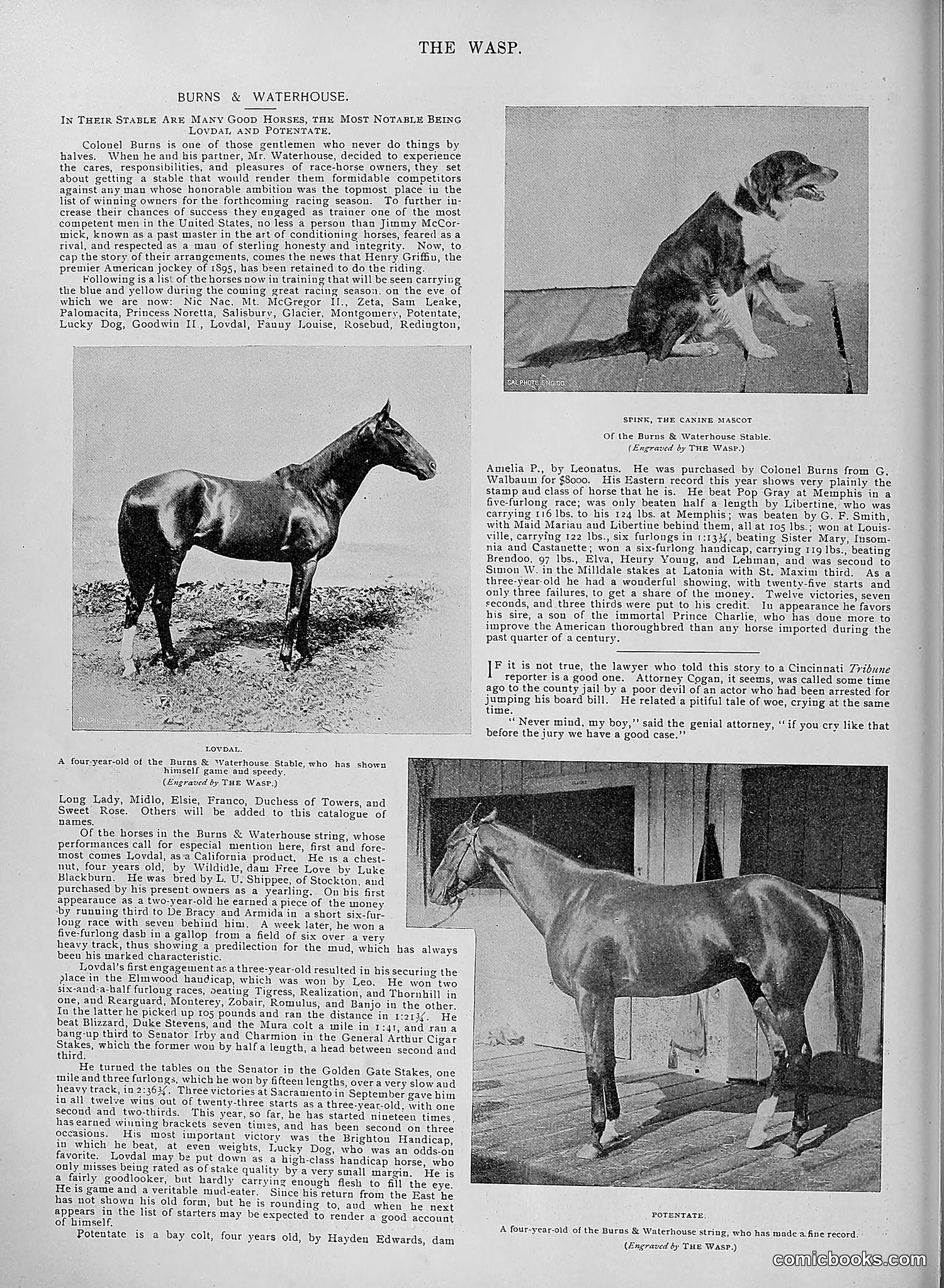The Wasp — 1895 — page 973 of 1100