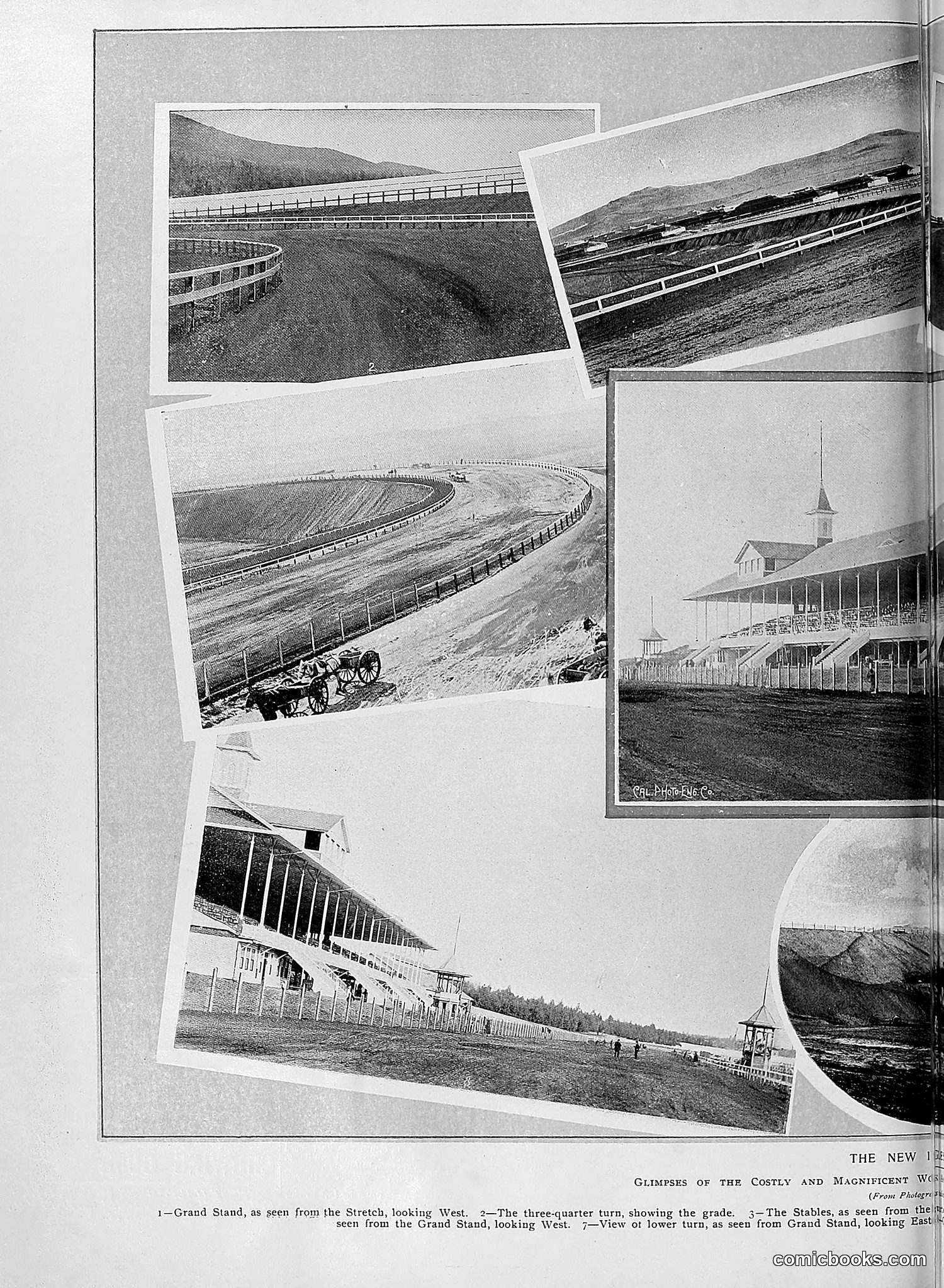 The Wasp — 1895 — page 975 of 1100