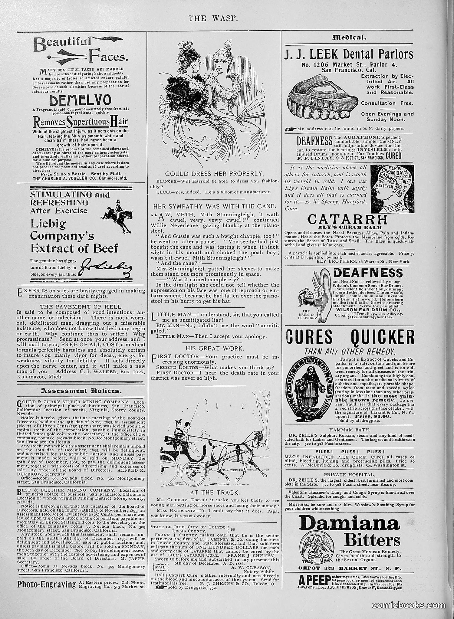 The Wasp — 1895 — page 977 of 1100