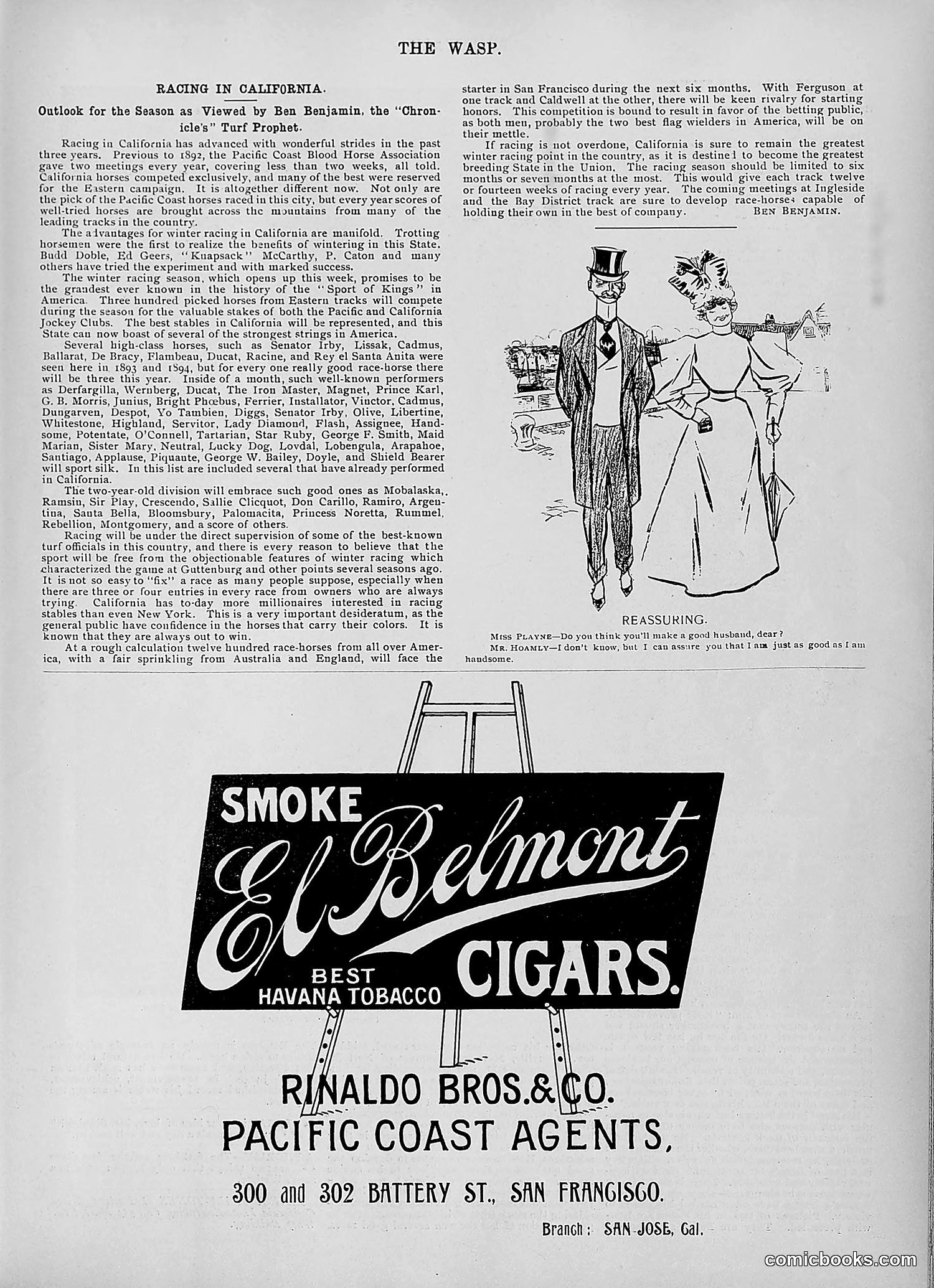 The Wasp — 1895 — page 978 of 1100