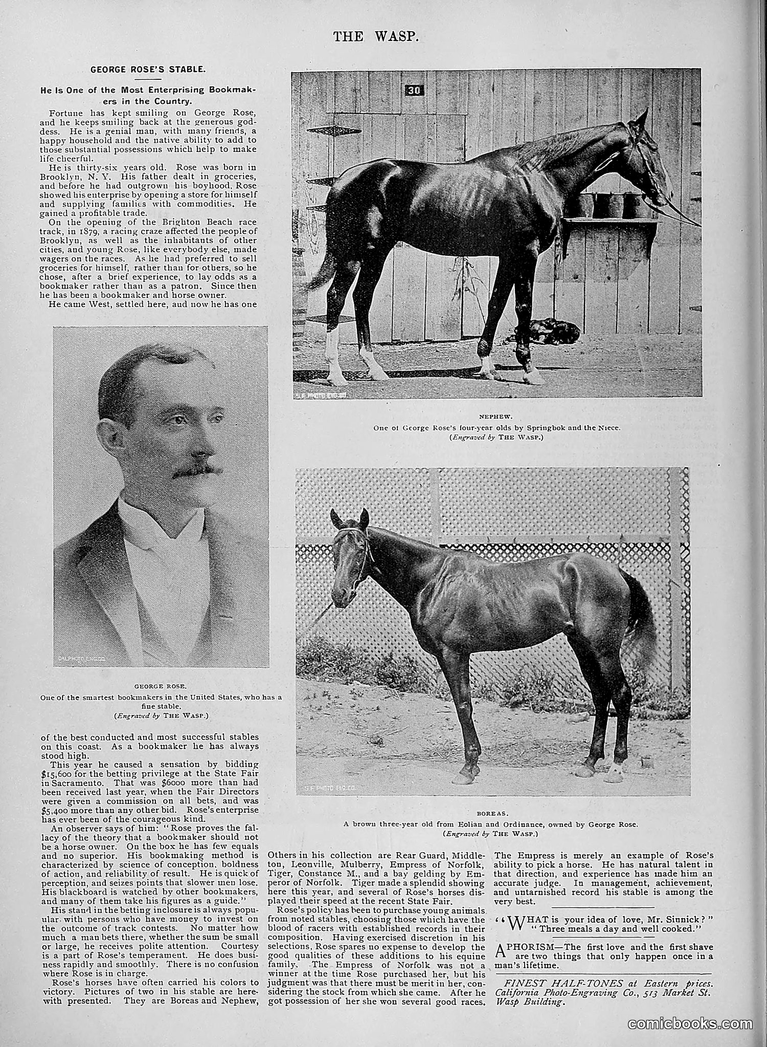 The Wasp — 1895 — page 979 of 1100