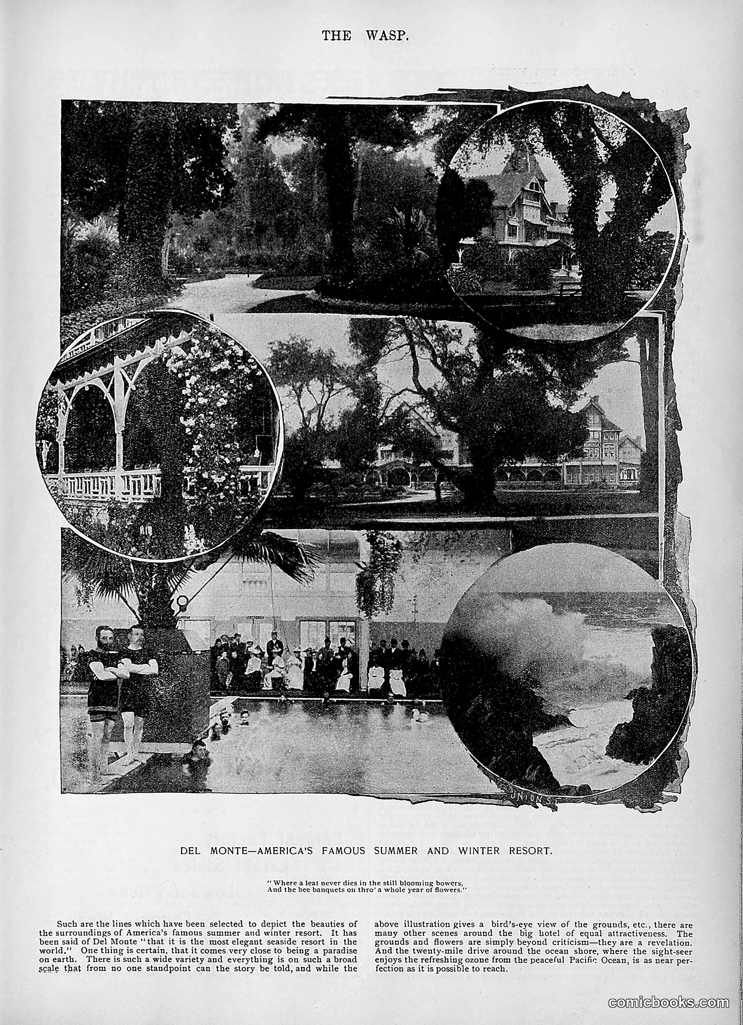 The Wasp — 1895 — page 980 of 1100