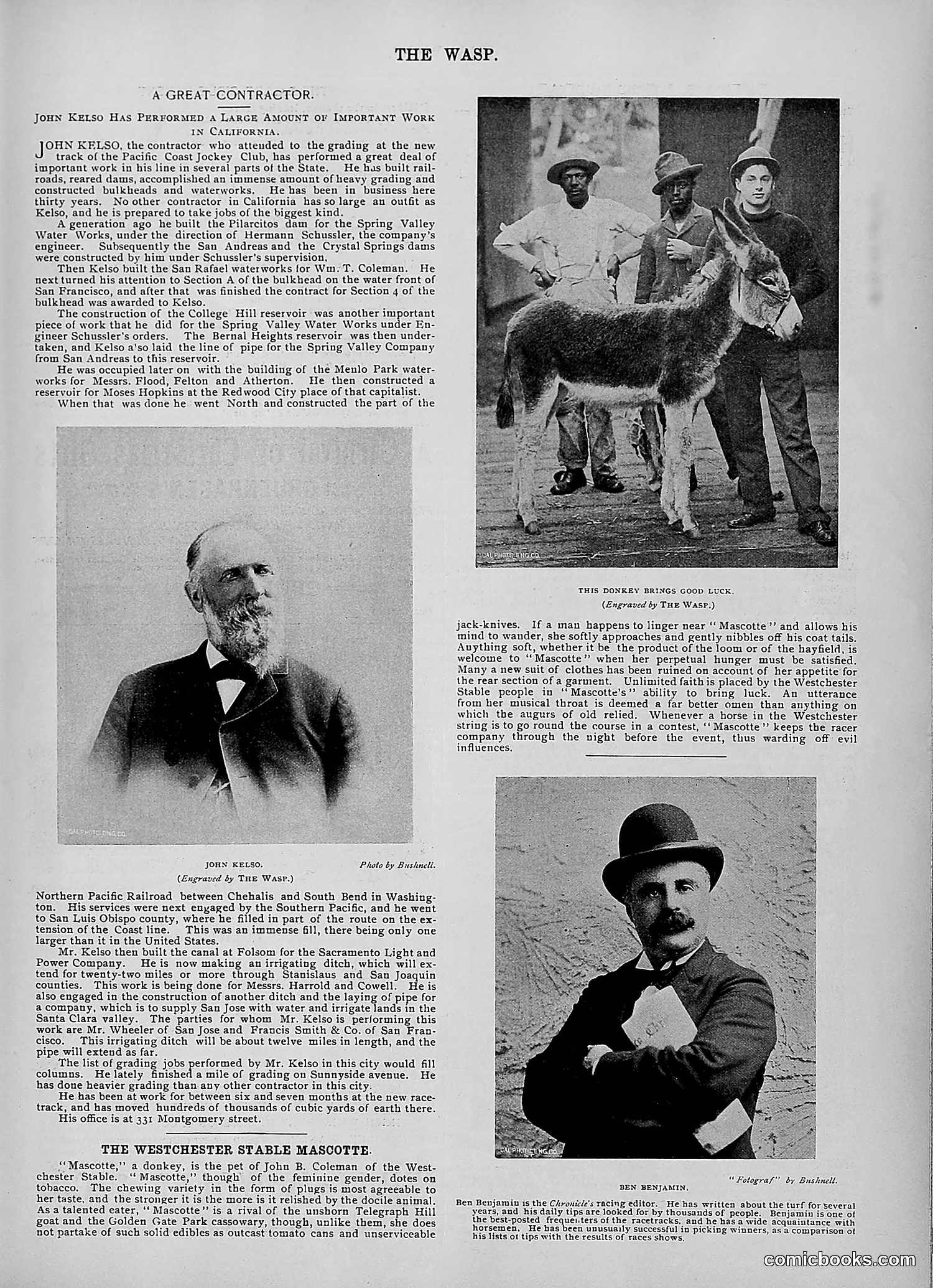 The Wasp — 1895 — page 986 of 1100