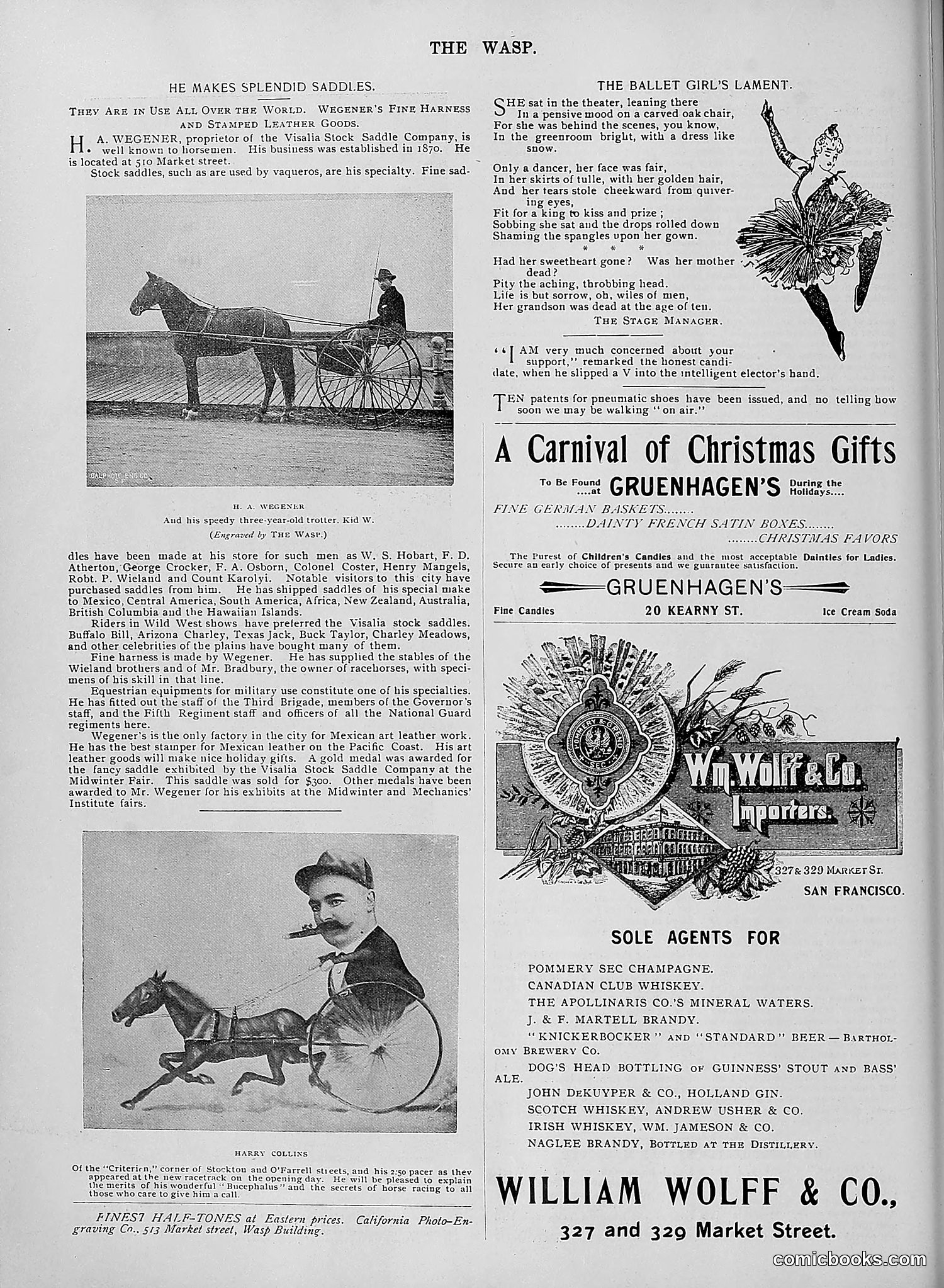 The Wasp — 1895 — page 987 of 1100