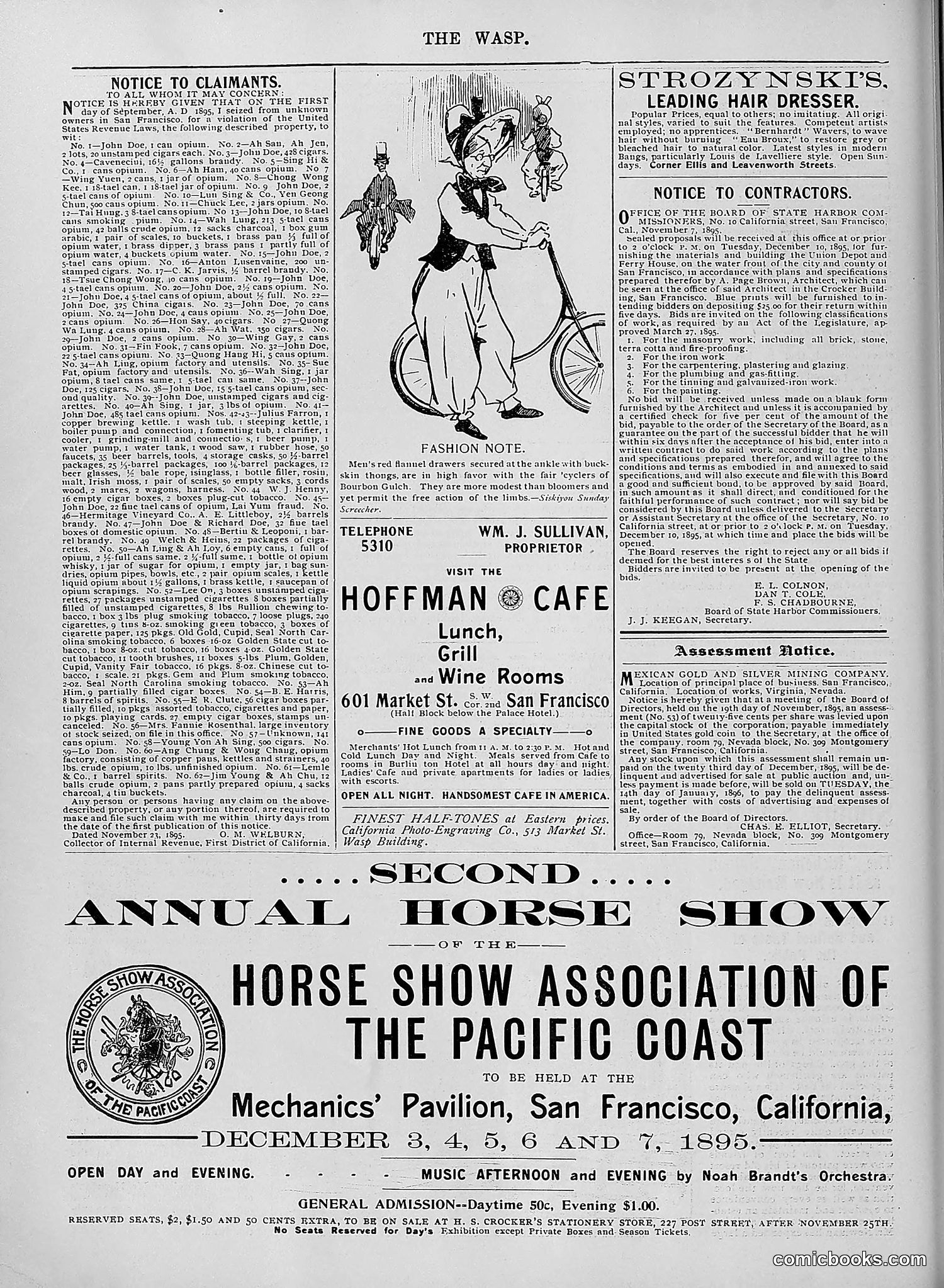 The Wasp — 1895 — page 989 of 1100