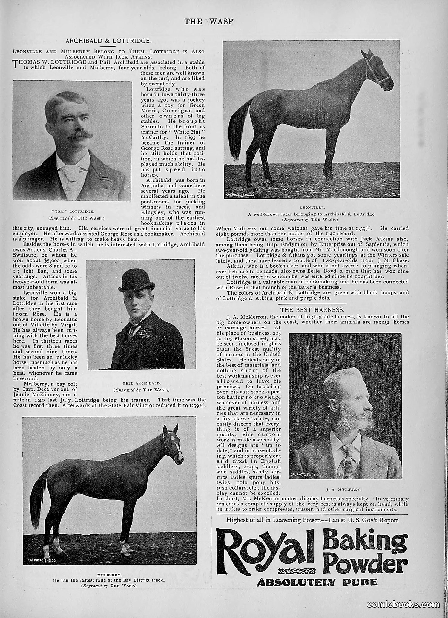 The Wasp — 1895 — page 990 of 1100