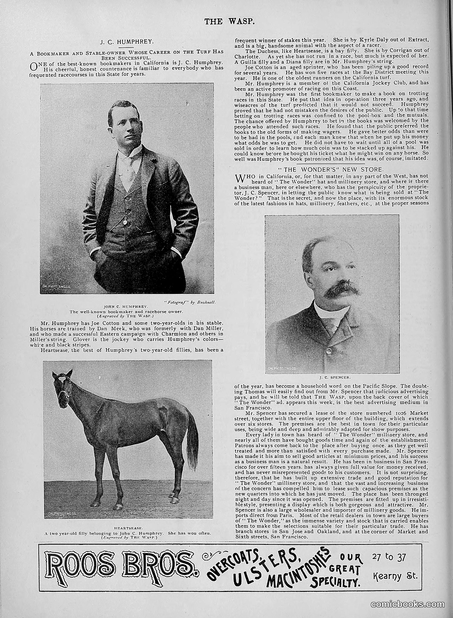 The Wasp — 1895 — page 991 of 1100